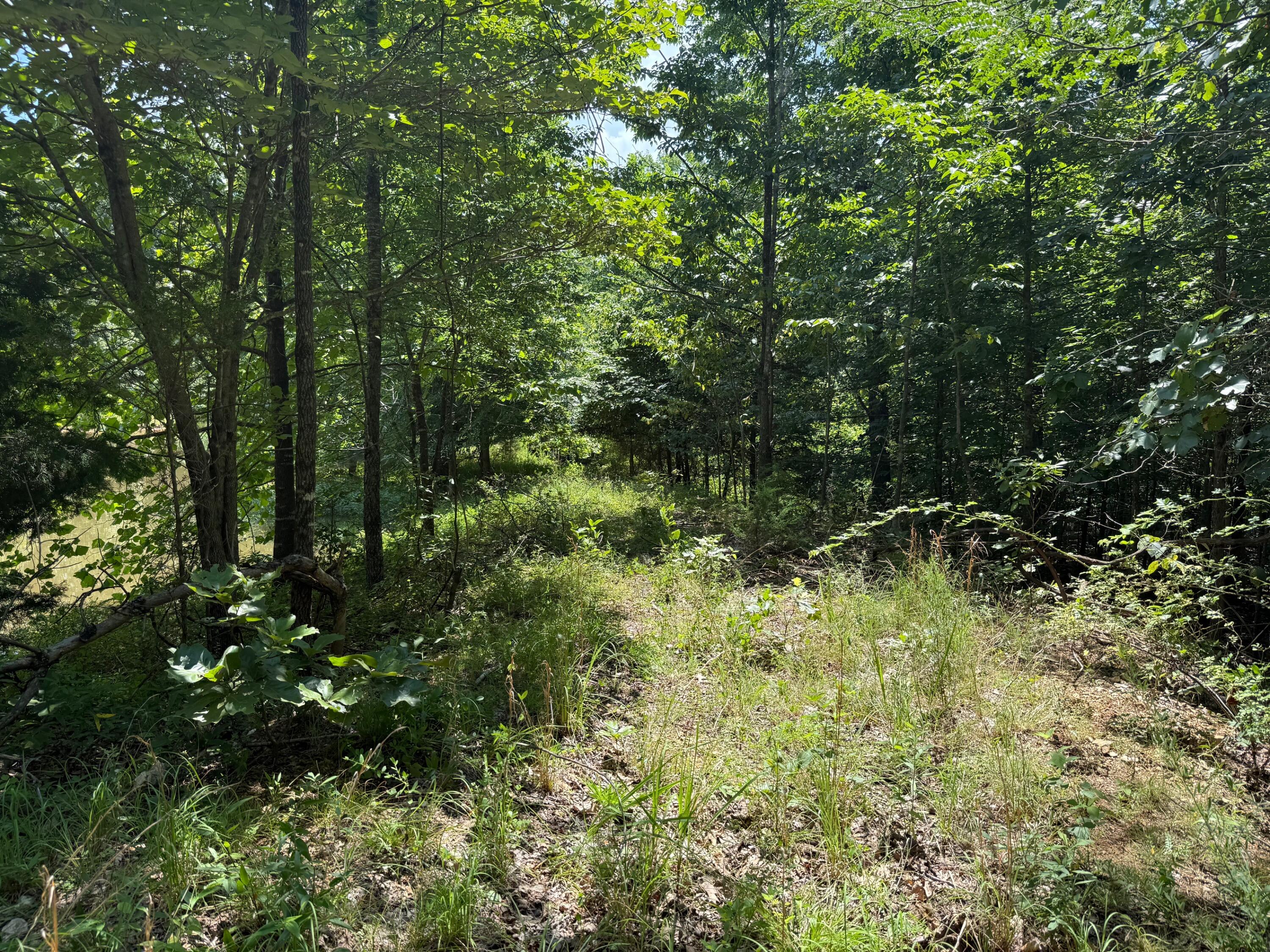 36245 Us 160 Property Photo 13