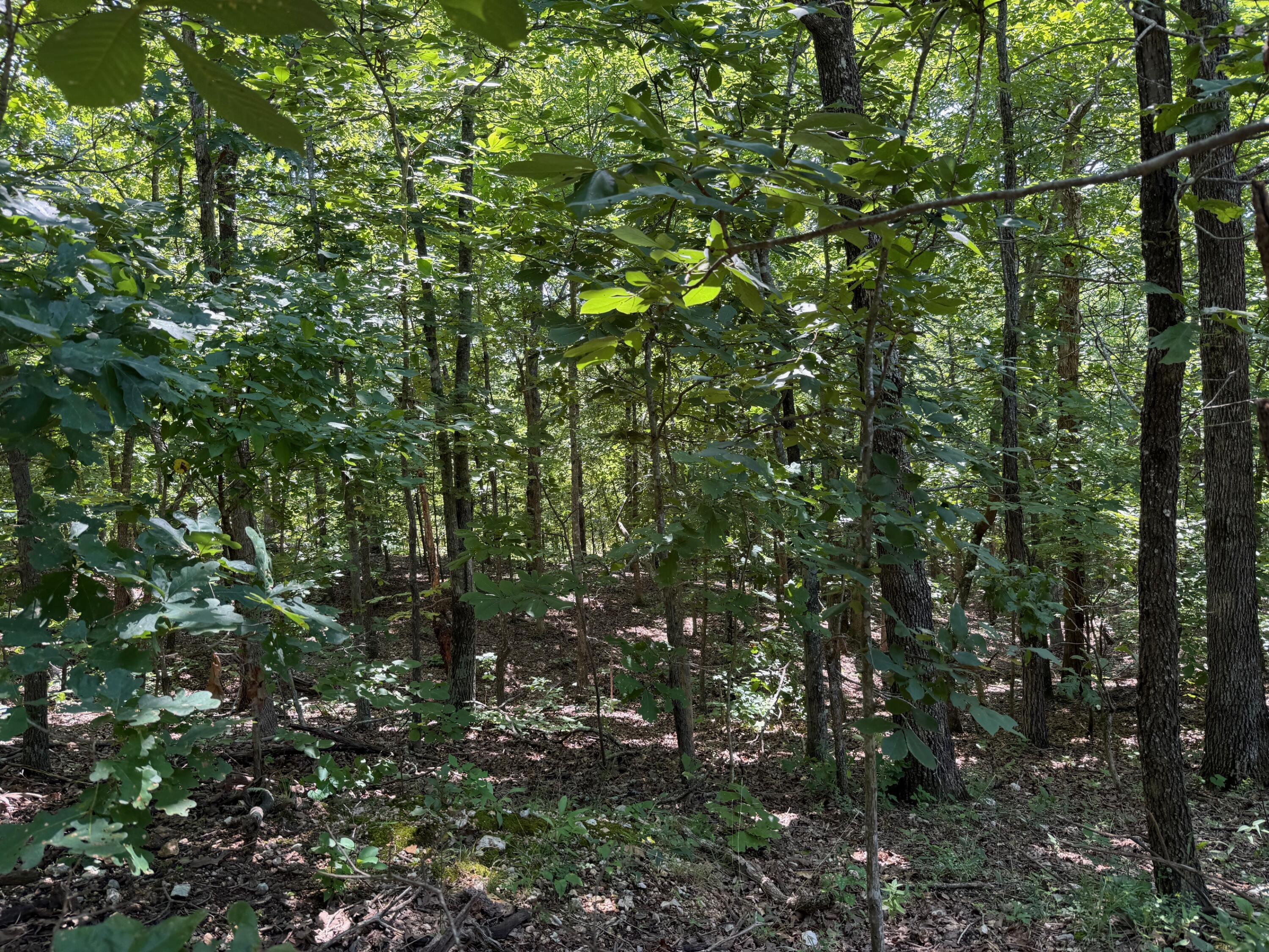 36245 Us 160 Property Photo 14