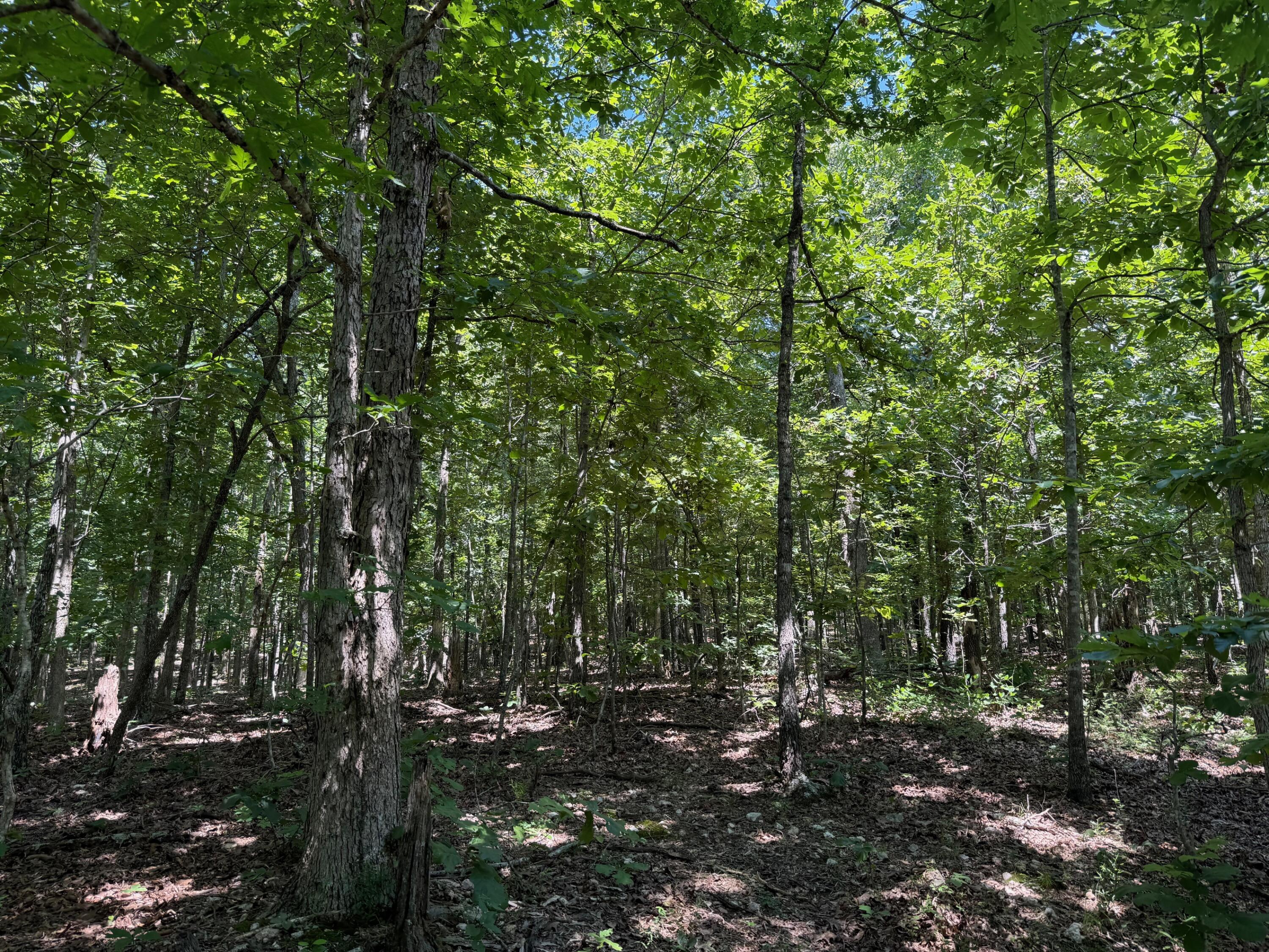 36245 Us 160 Property Photo 15