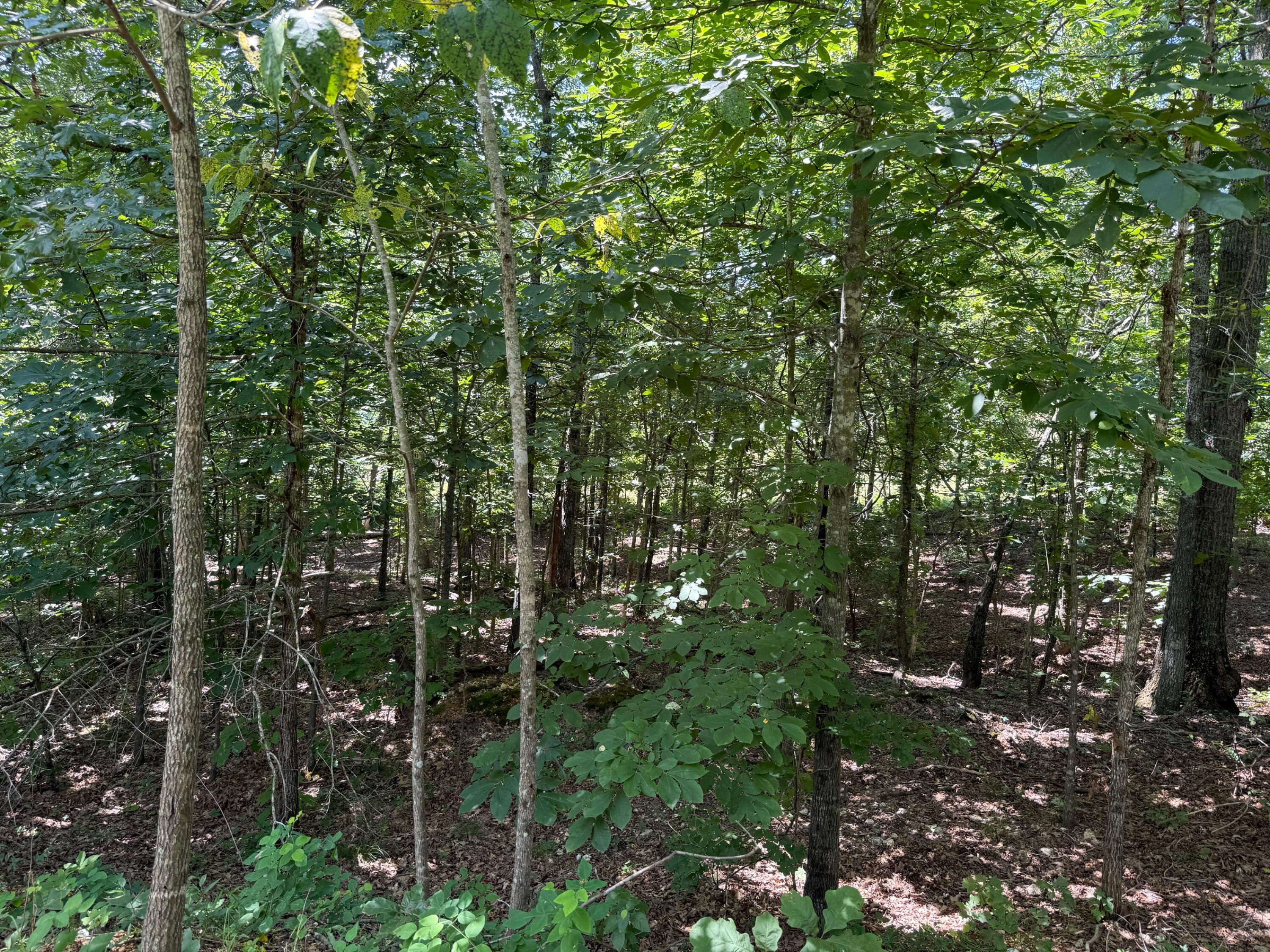 36245 Us 160 Property Photo 17