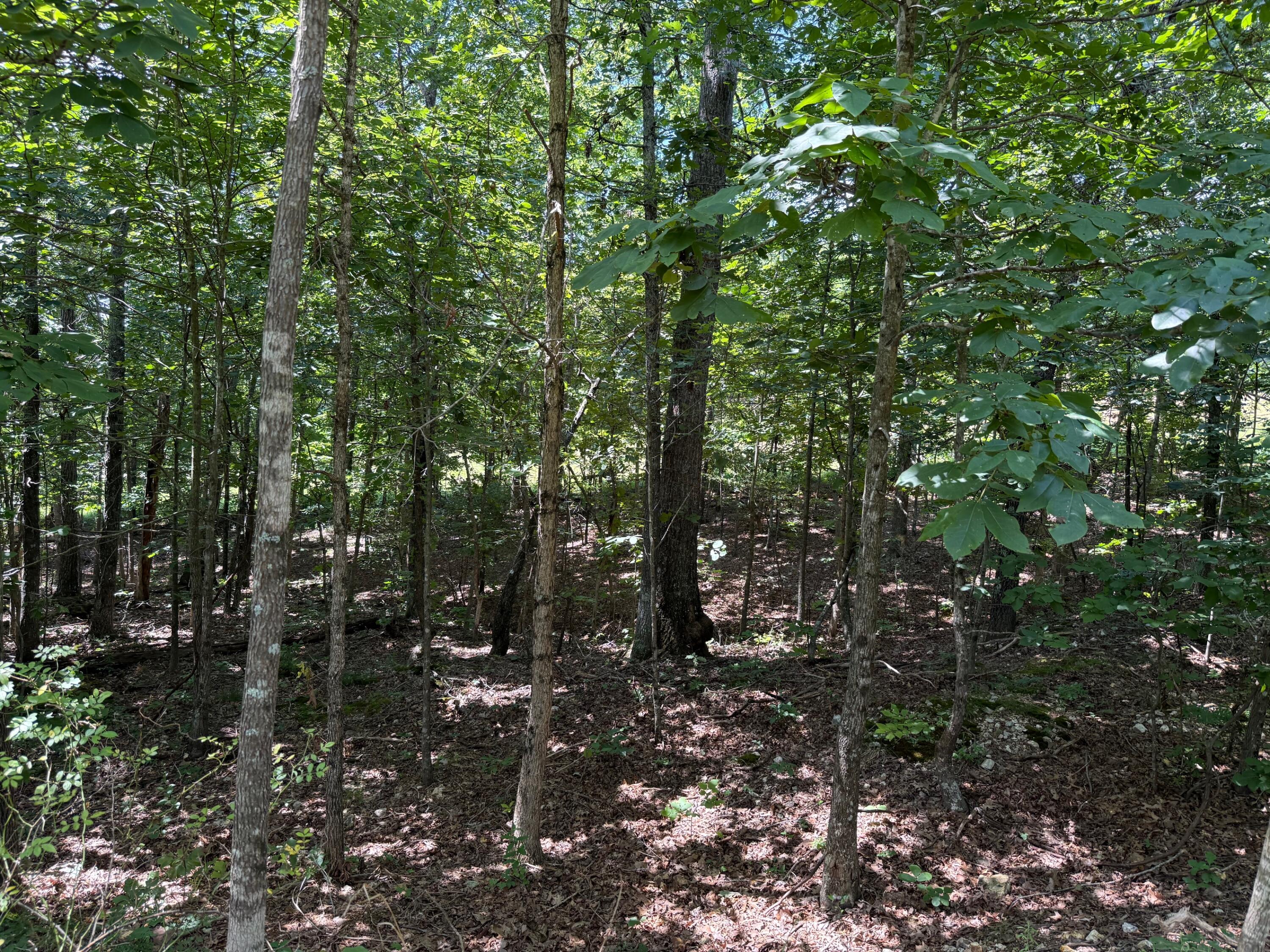 36245 Us 160 Property Photo 18