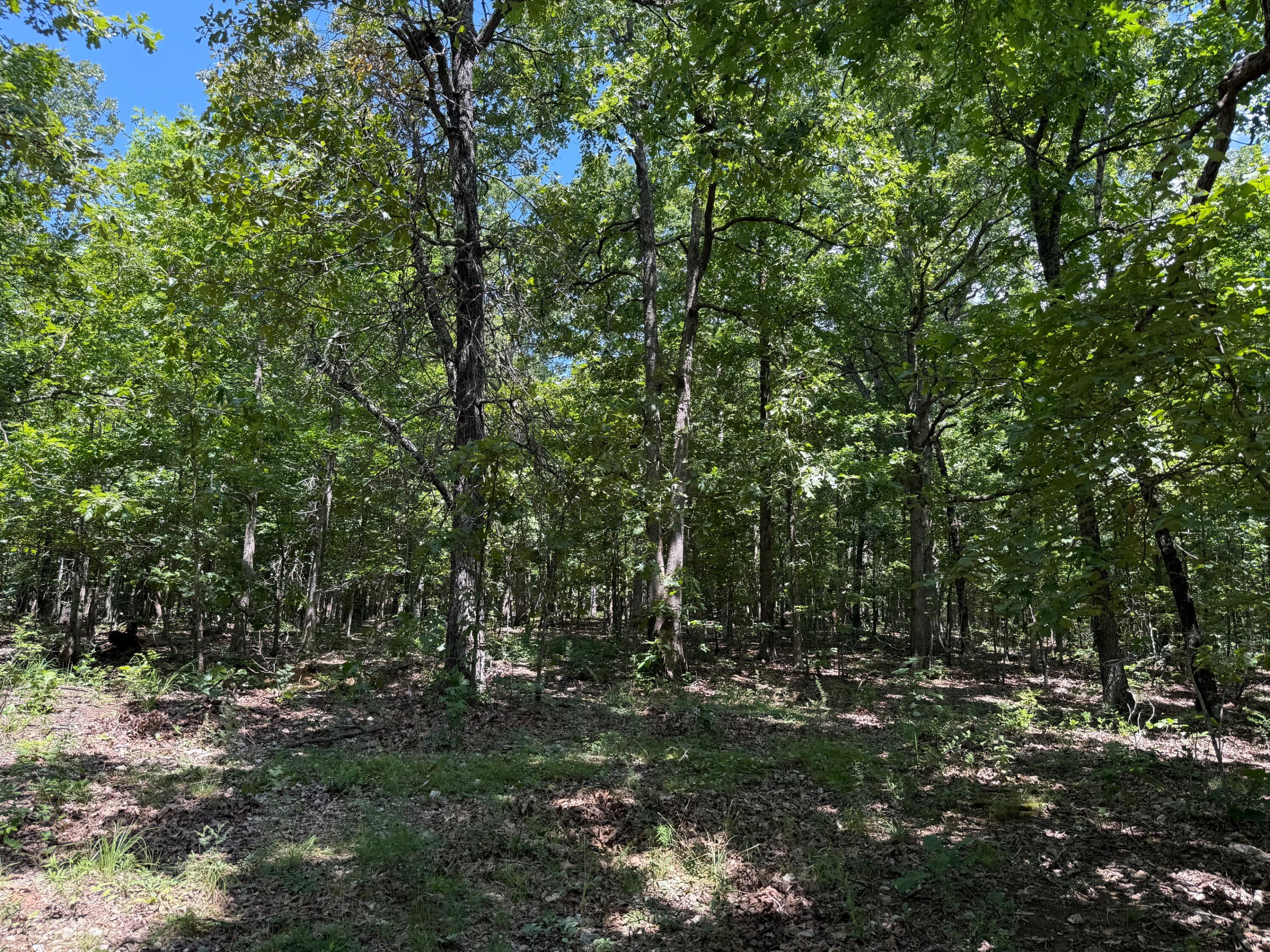 36245 Us 160 Property Photo 19