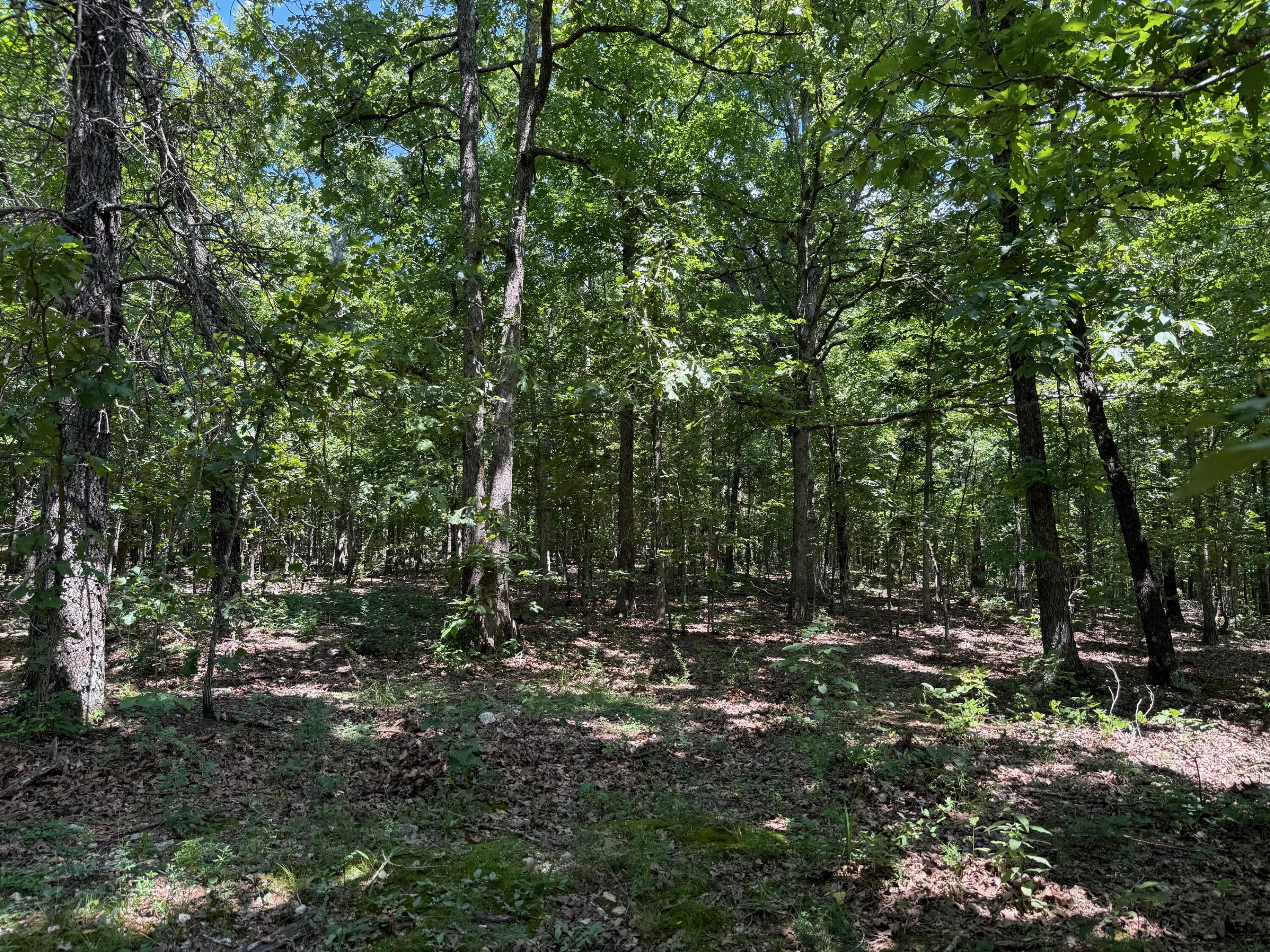 36245 Us 160 Property Photo 20