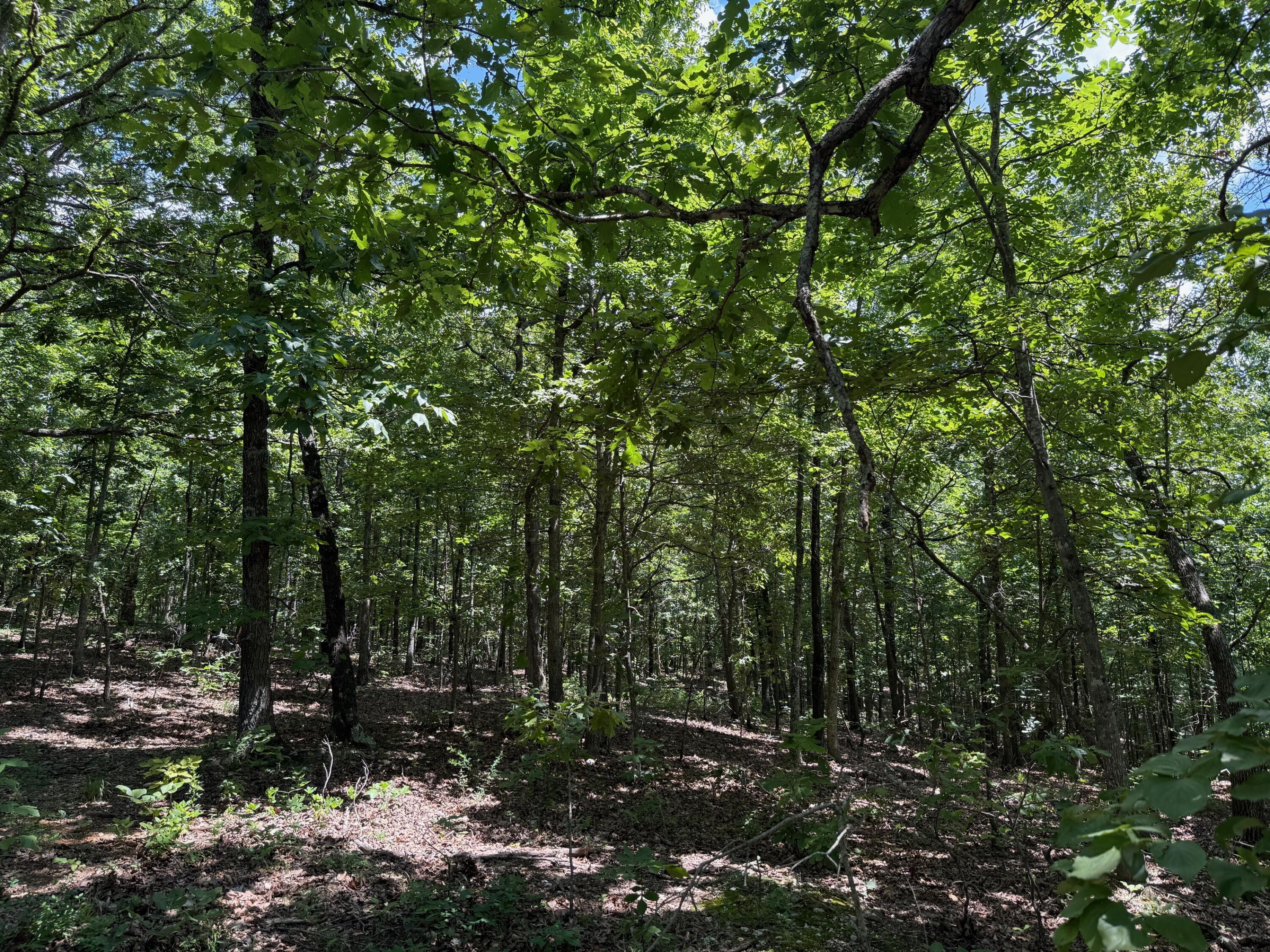 36245 Us 160 Property Photo 21