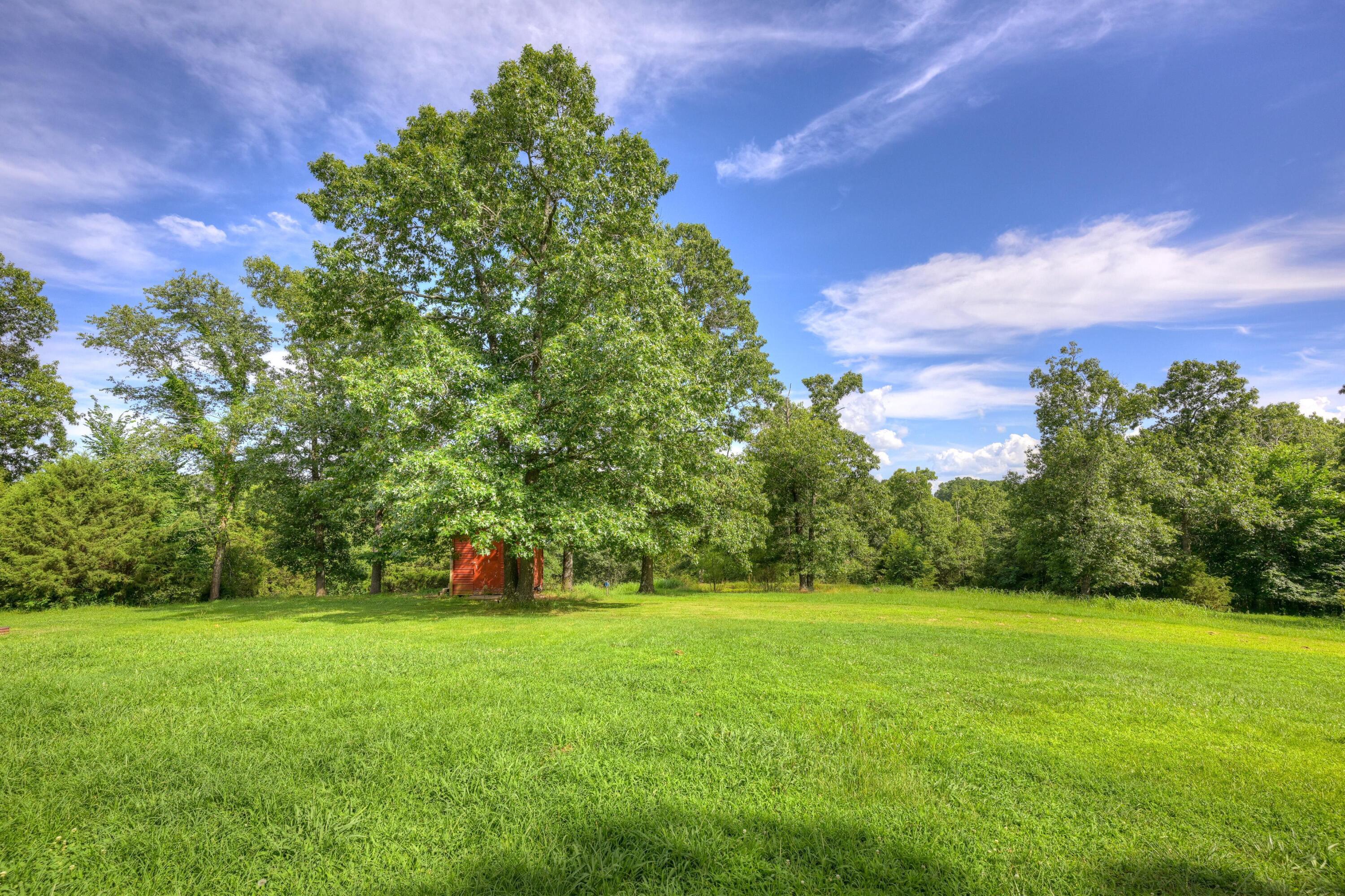 476 Pine Tree Drive Property Photo 6