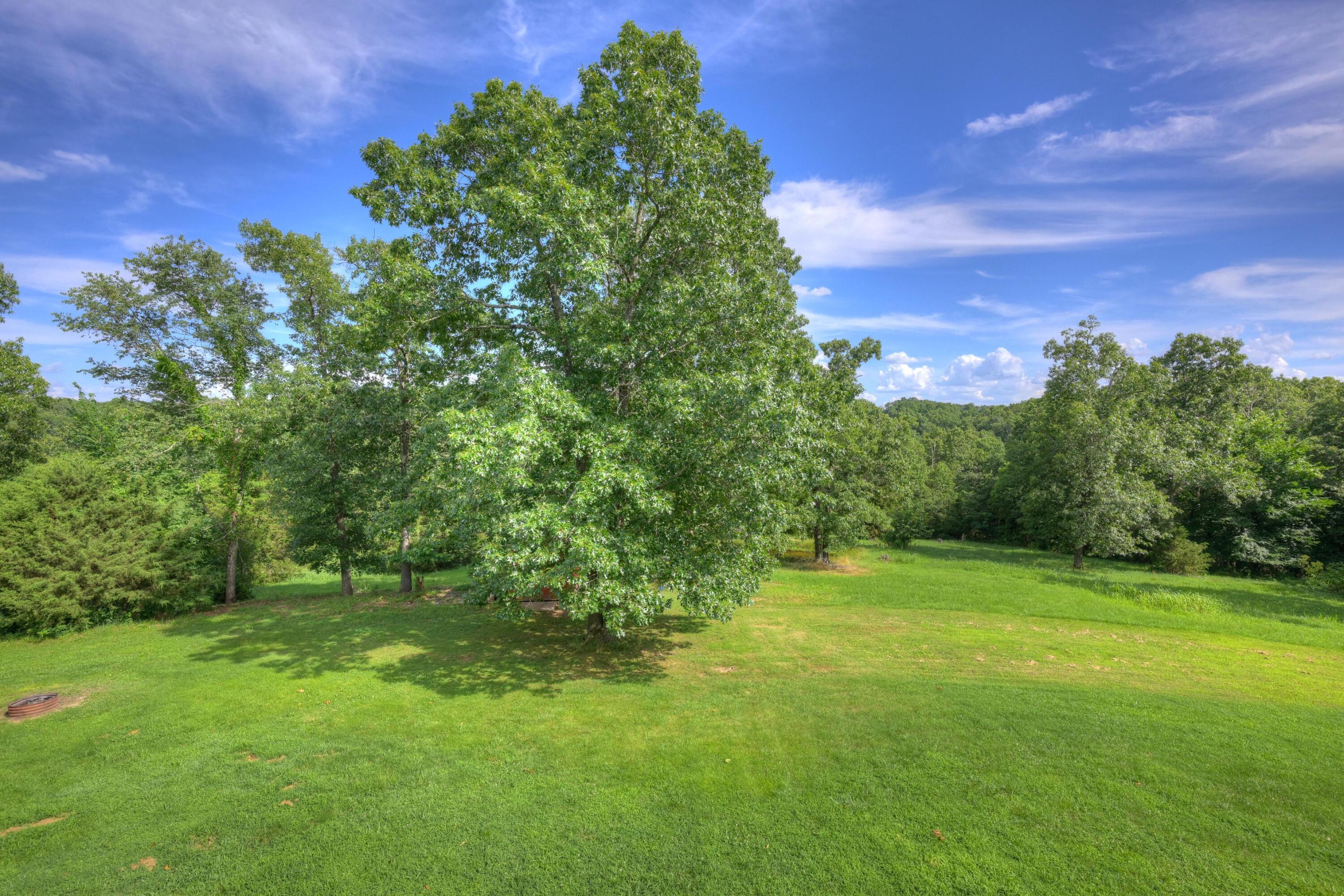 476 Pine Tree Drive Property Photo 36
