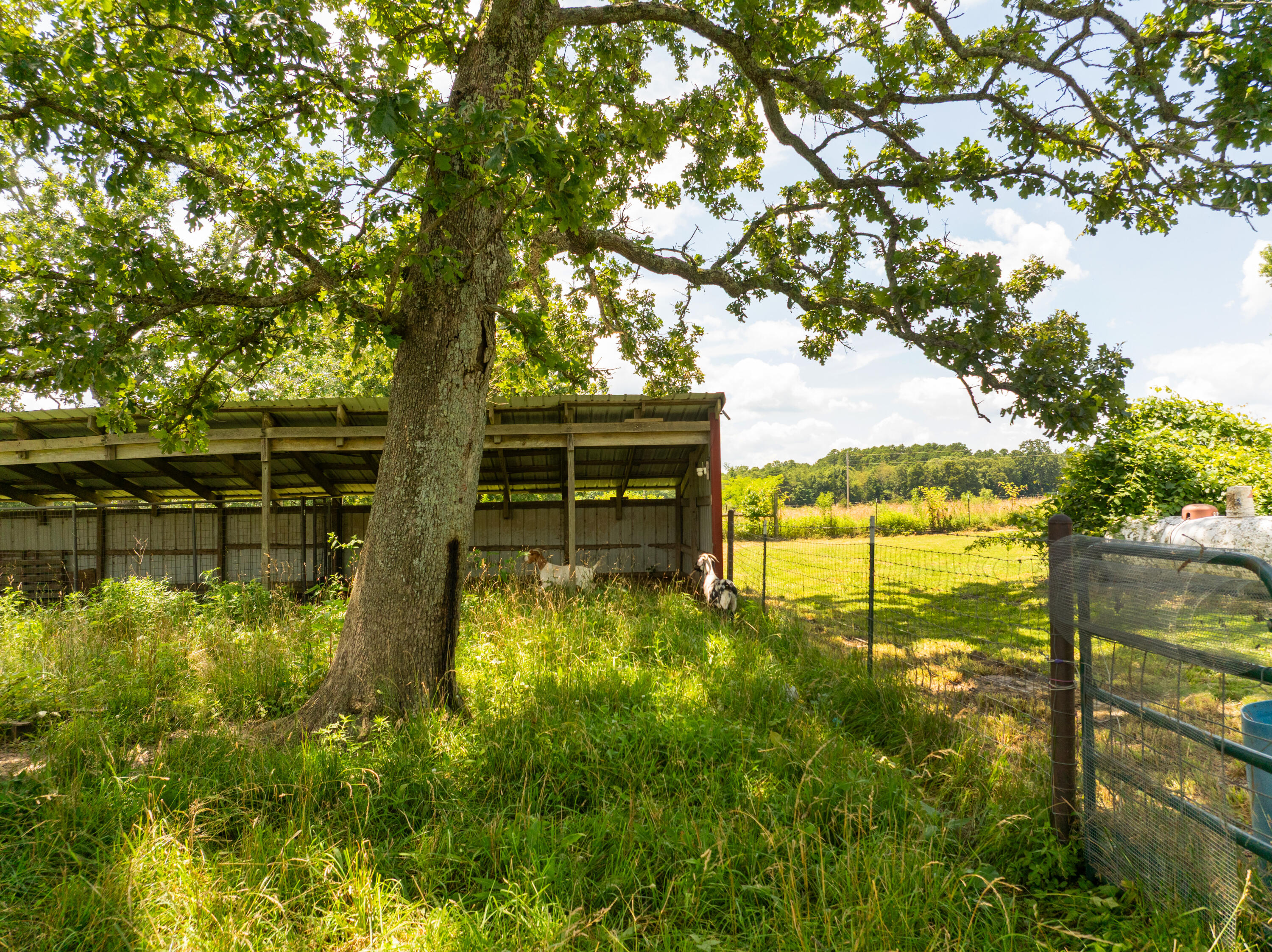 2080 State Route 14 Property Photo 53