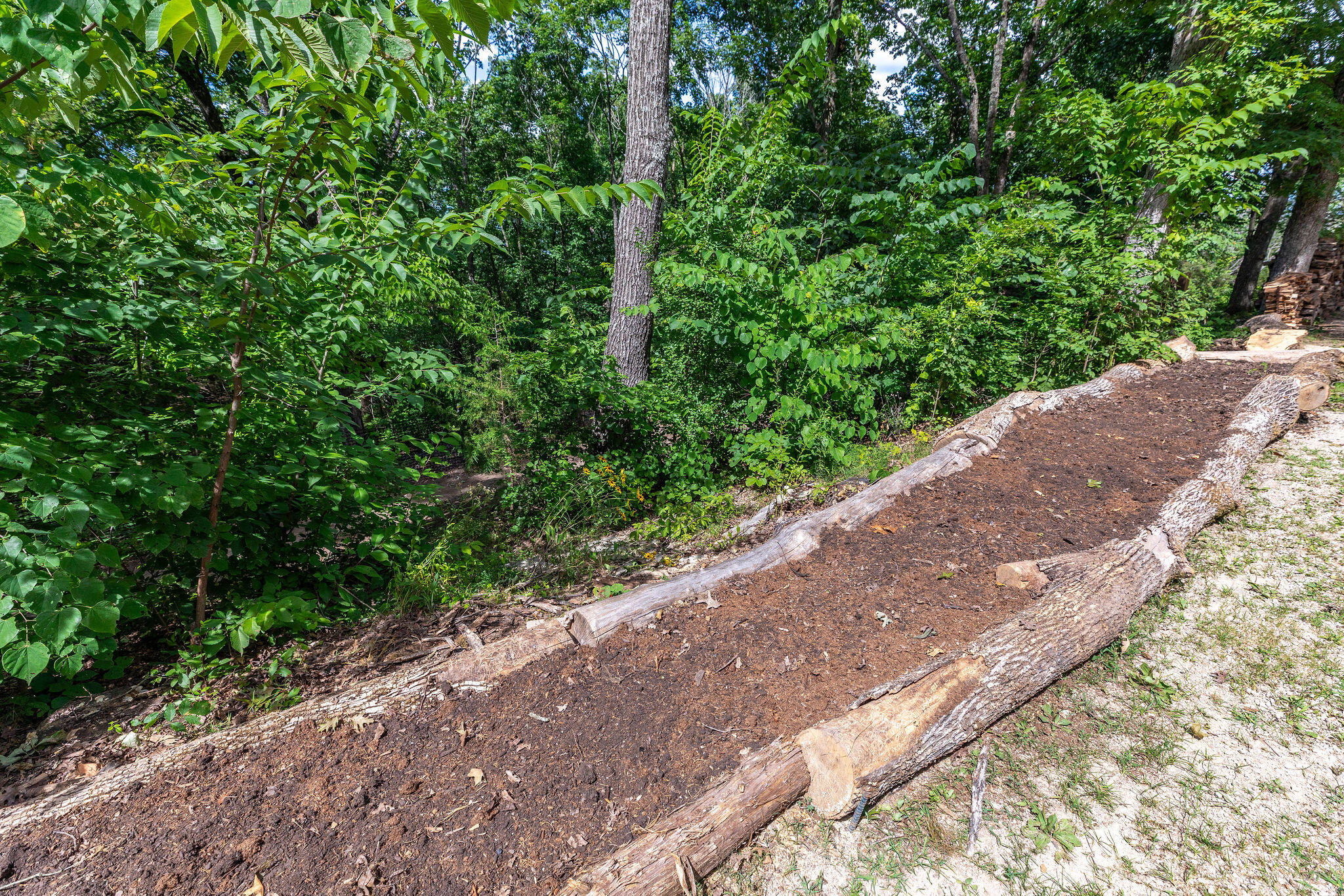 537 Watson Road Property Photo 26