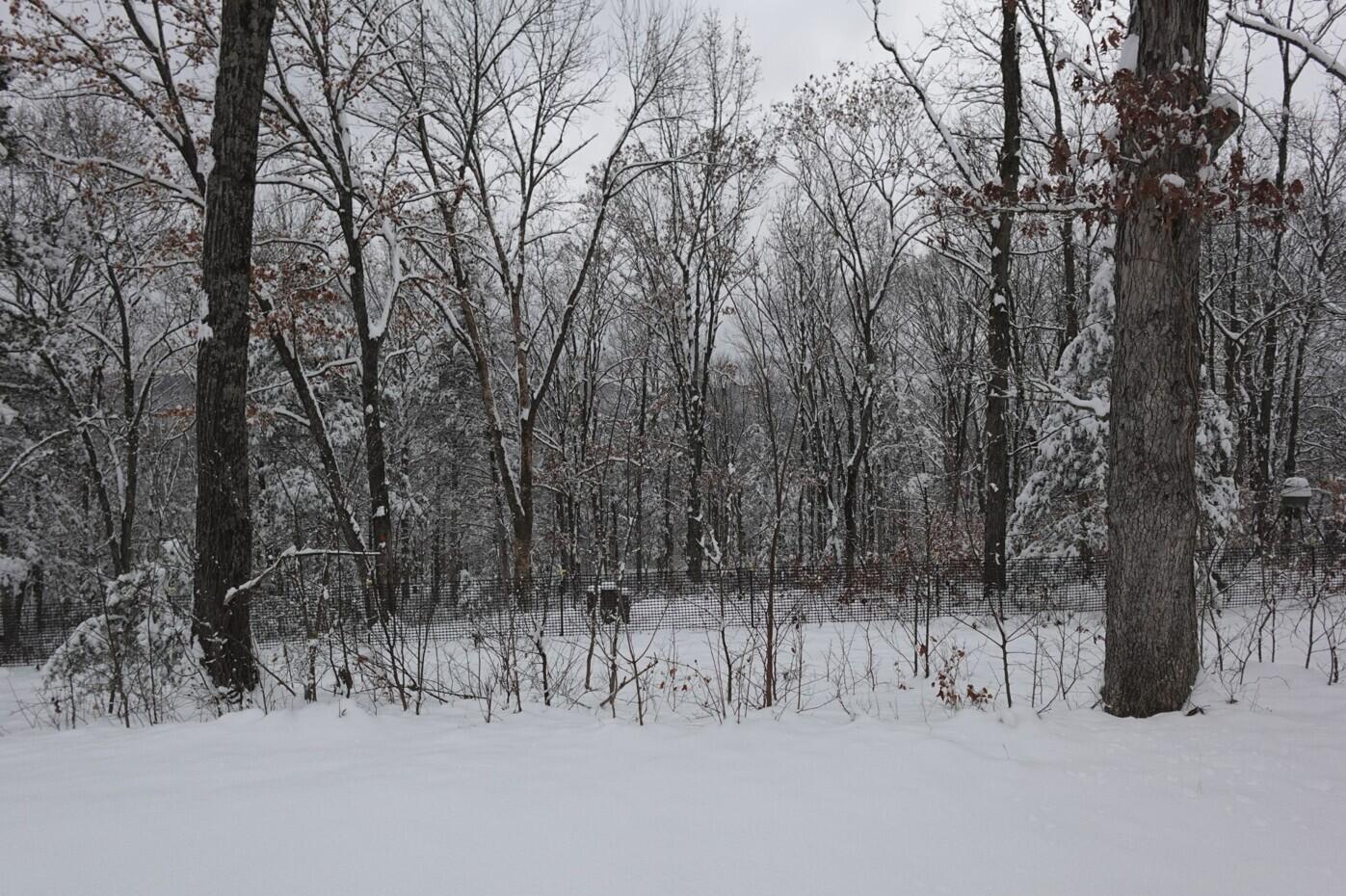 537 Watson Road Property Photo 45