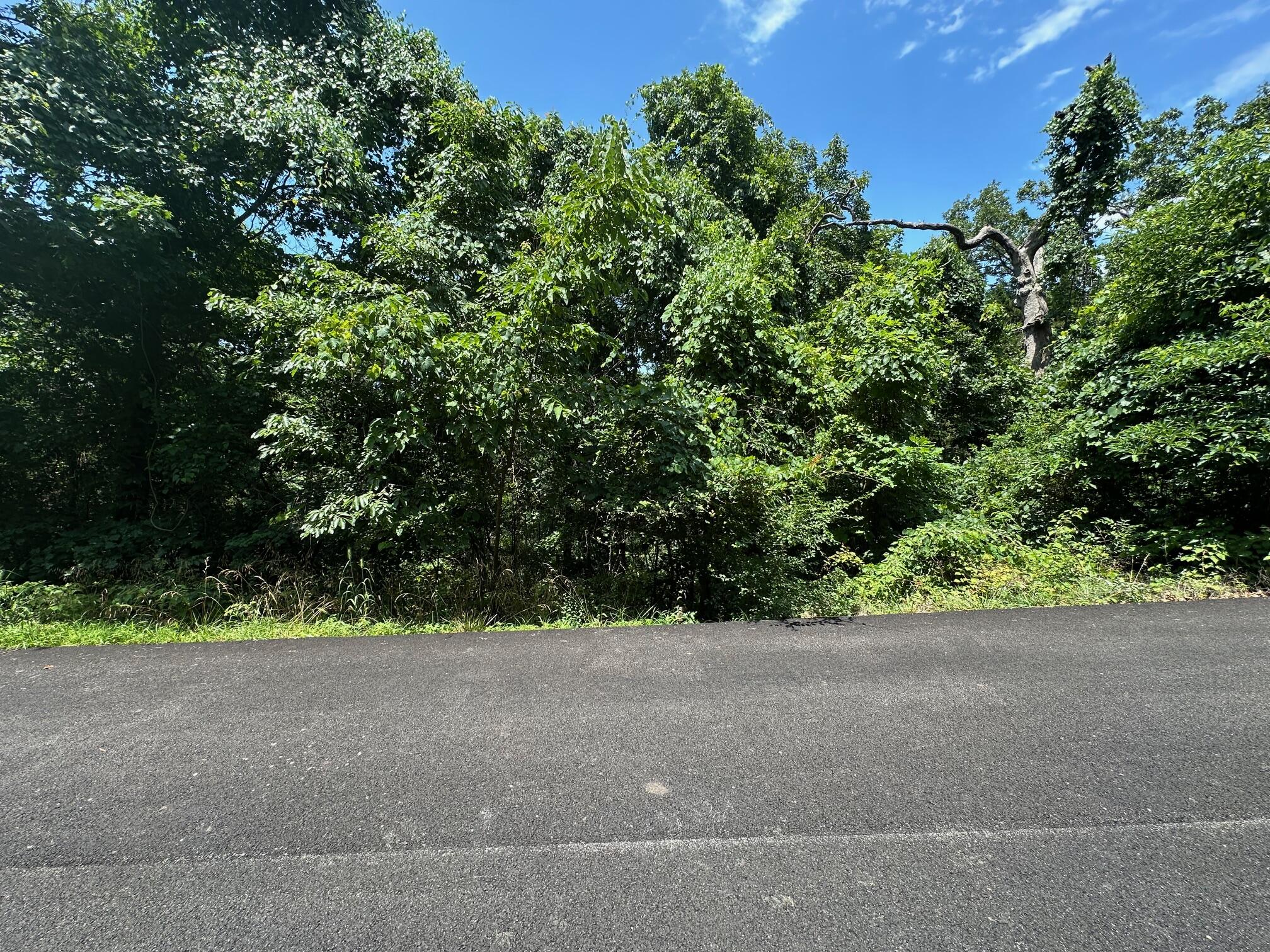 Lot 9 Paola Lane Property Photo 1