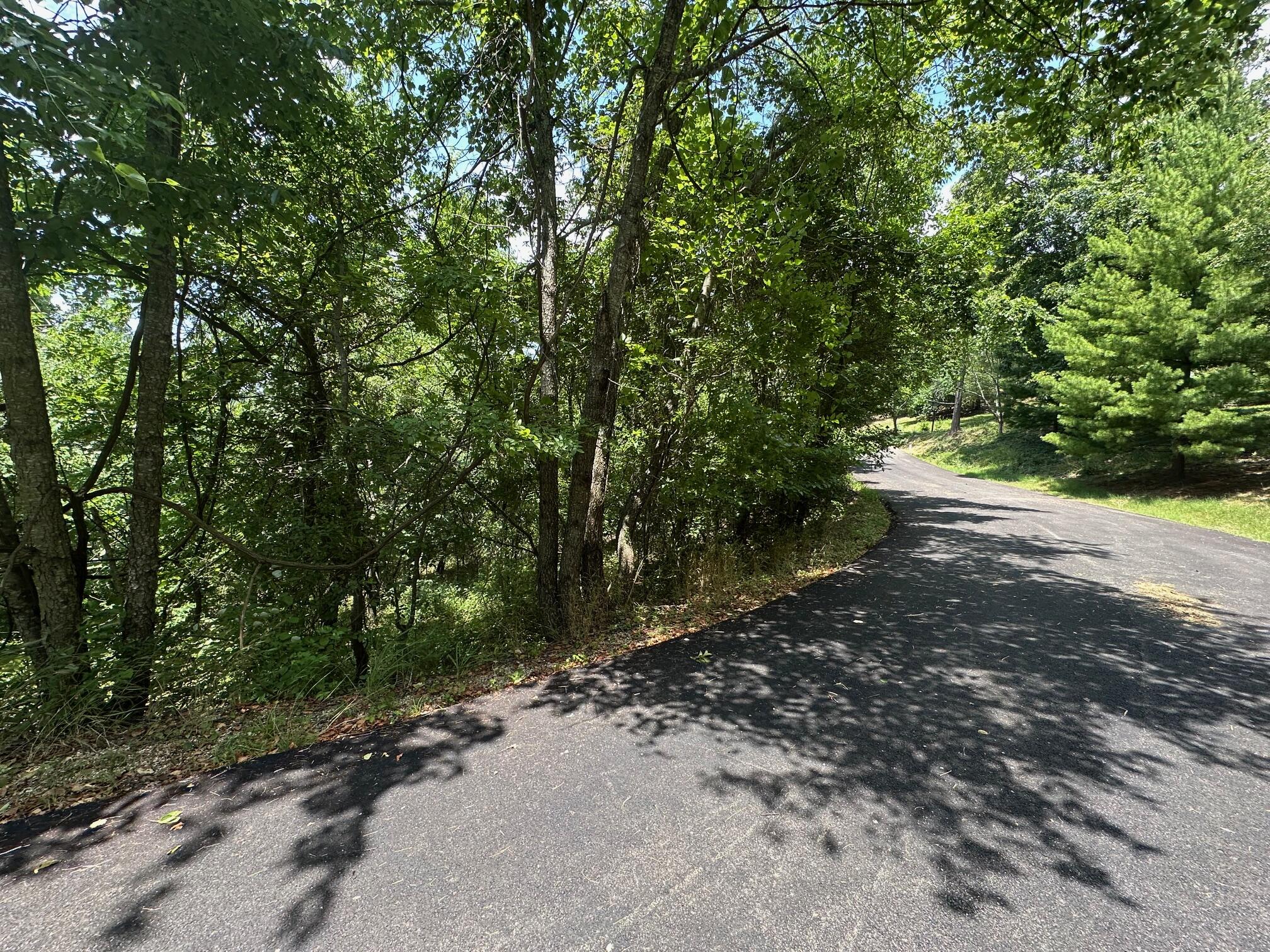 Lot 10 Paola Lane Property Photo 1