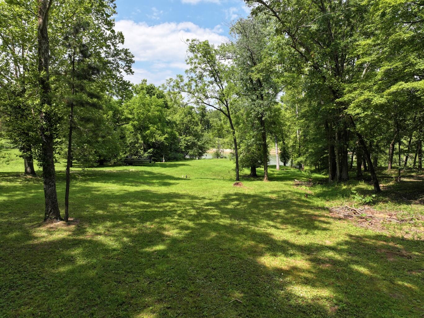 000 Carter 133 Property Photo 4