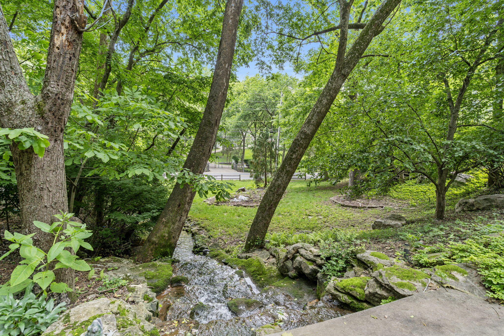 4109 East Farm Road 144 Property Photo 52