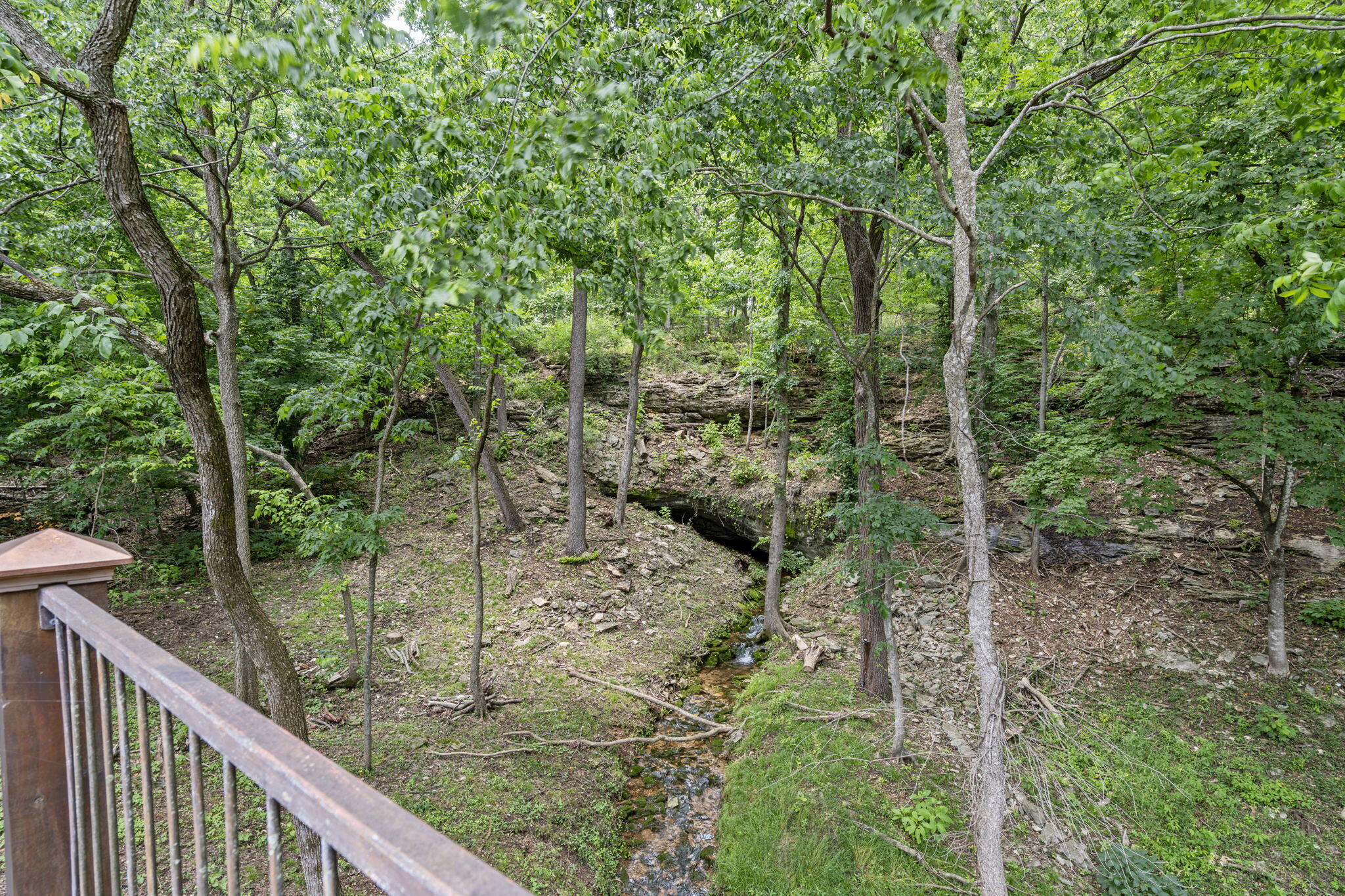 4109 East Farm Road 144 Property Photo 60