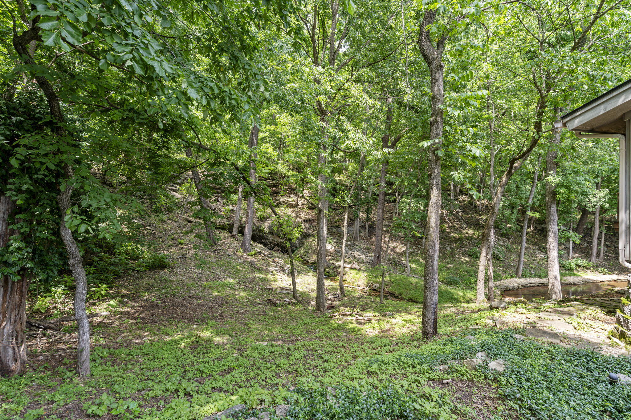 4109 East Farm Road 144 Property Photo 66