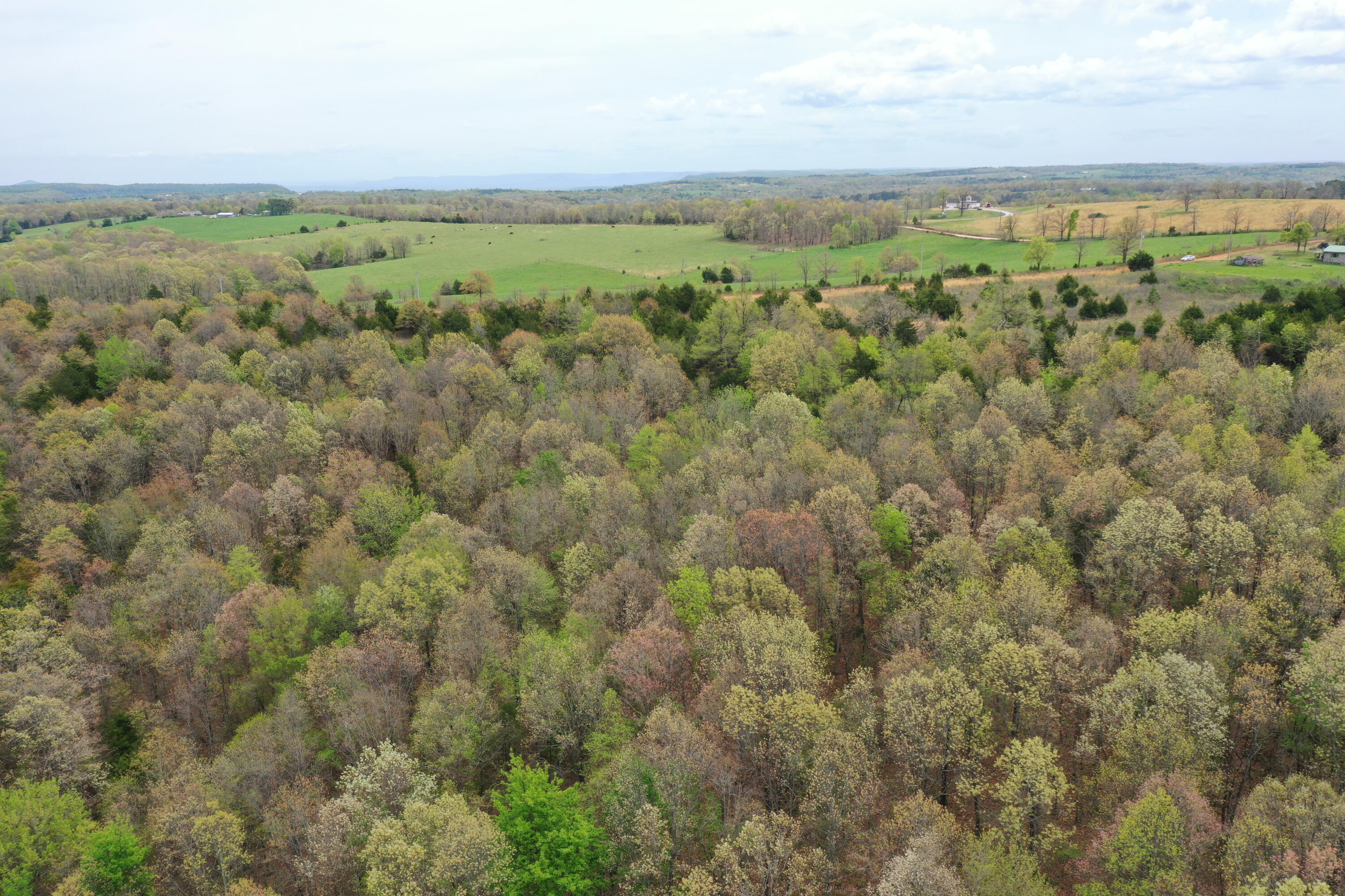 000 County Road 972 Property Photo 12