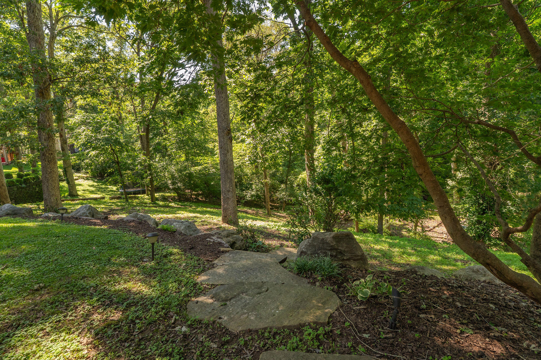 4311 East Cross Timbers Street Property Photo 59