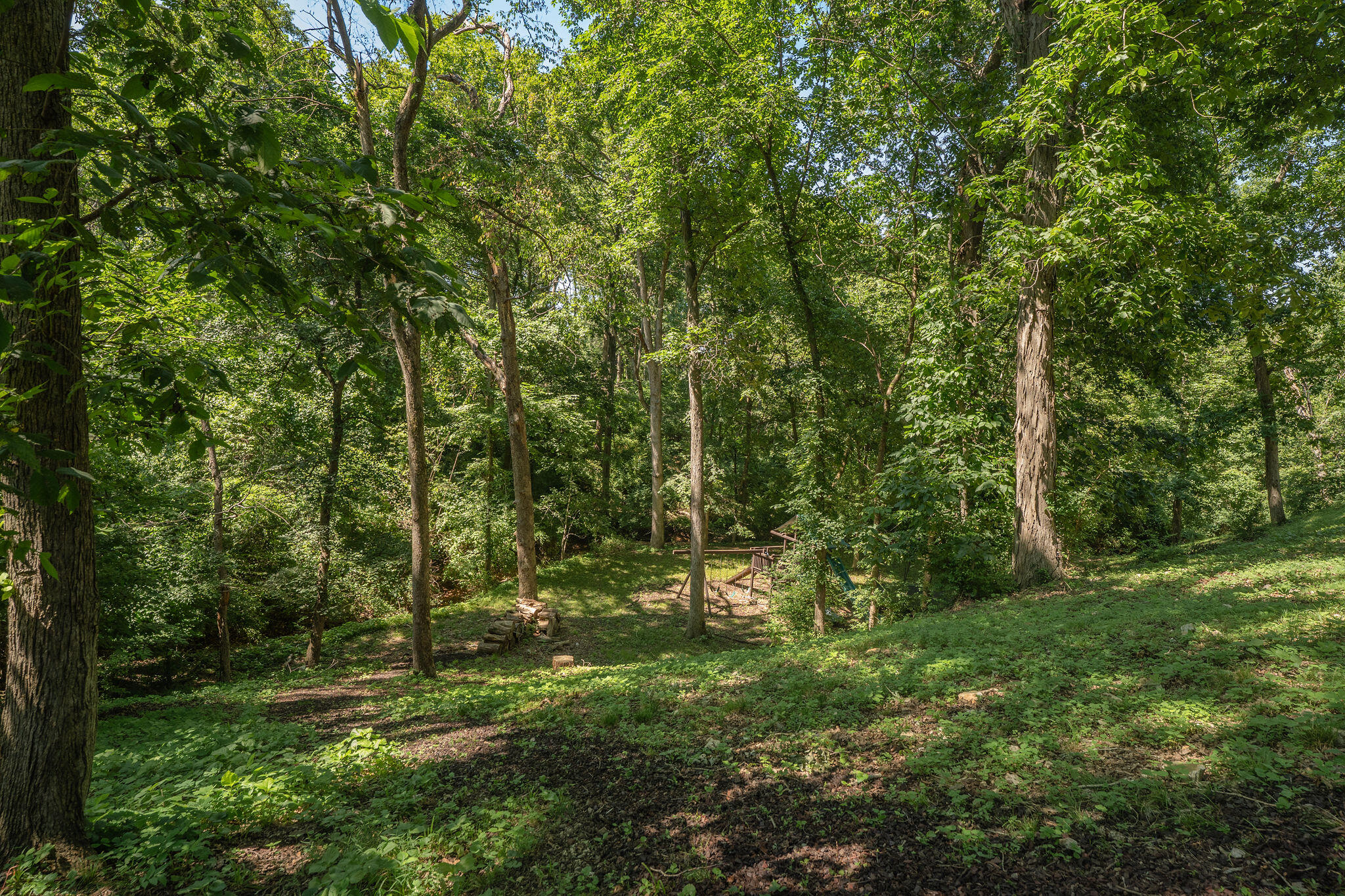 4311 East Cross Timbers Street Property Photo 61