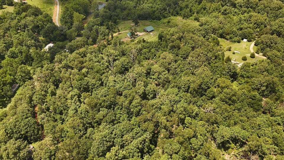 2240 Racetrack Hollow Road Property Photo 5