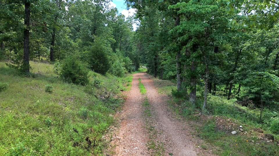 2240 Racetrack Hollow Road Property Photo 6