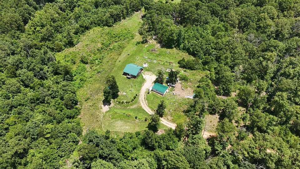 2240 Racetrack Hollow Road Property Photo 11