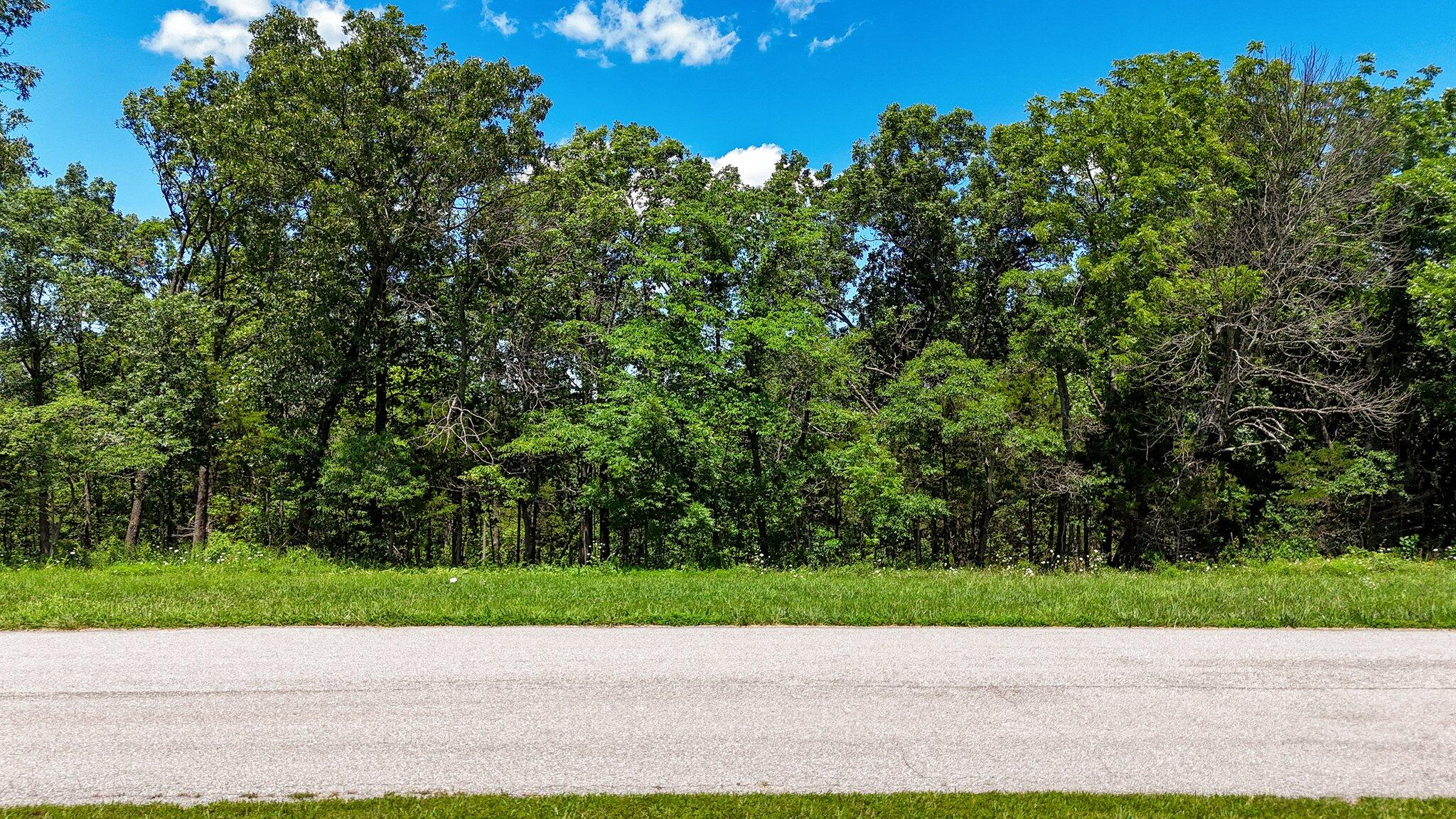 Lot 6 Munson Hill Drive Property Photo 7