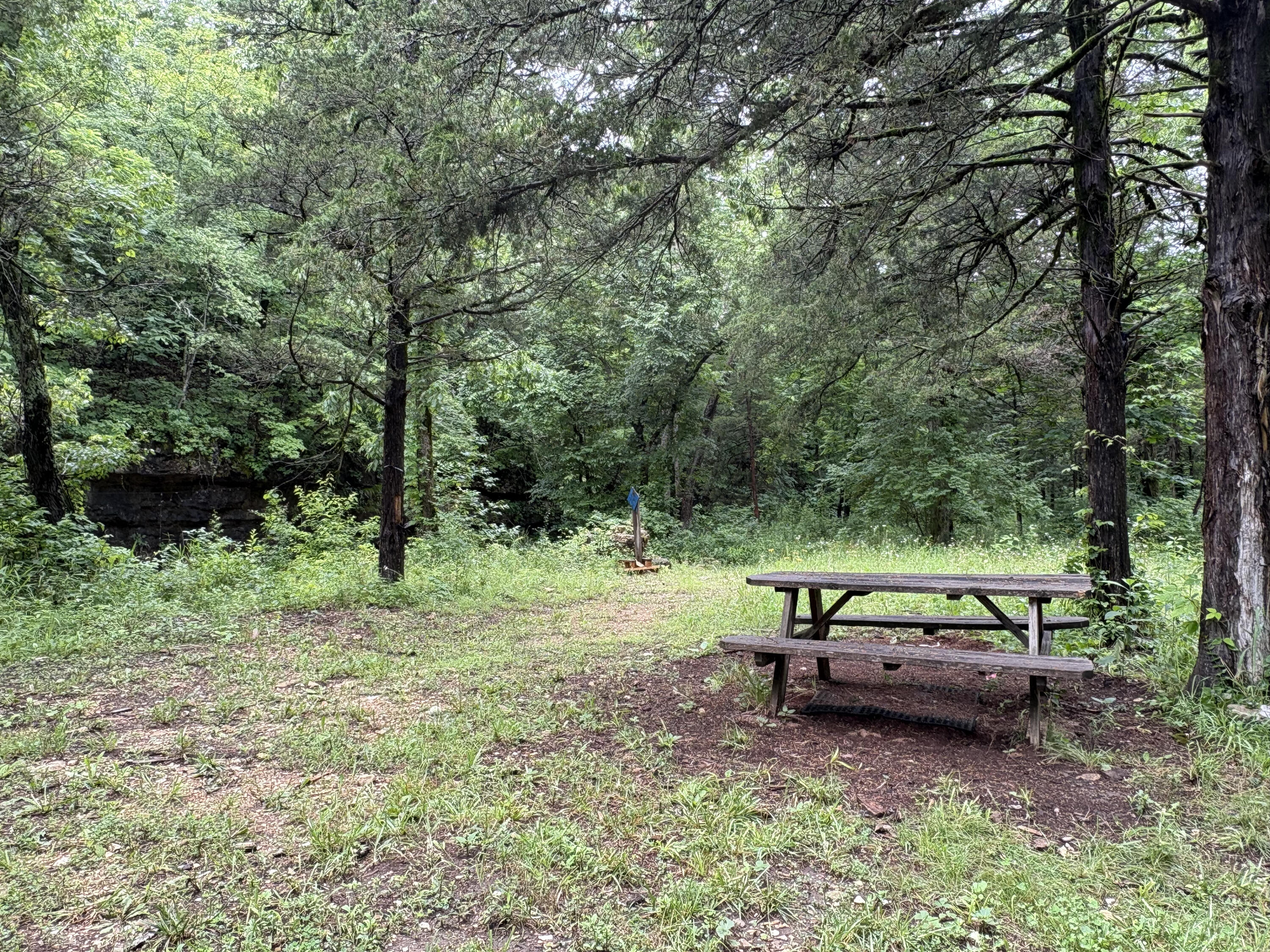 421 North Emory Creek Road Property Photo 32