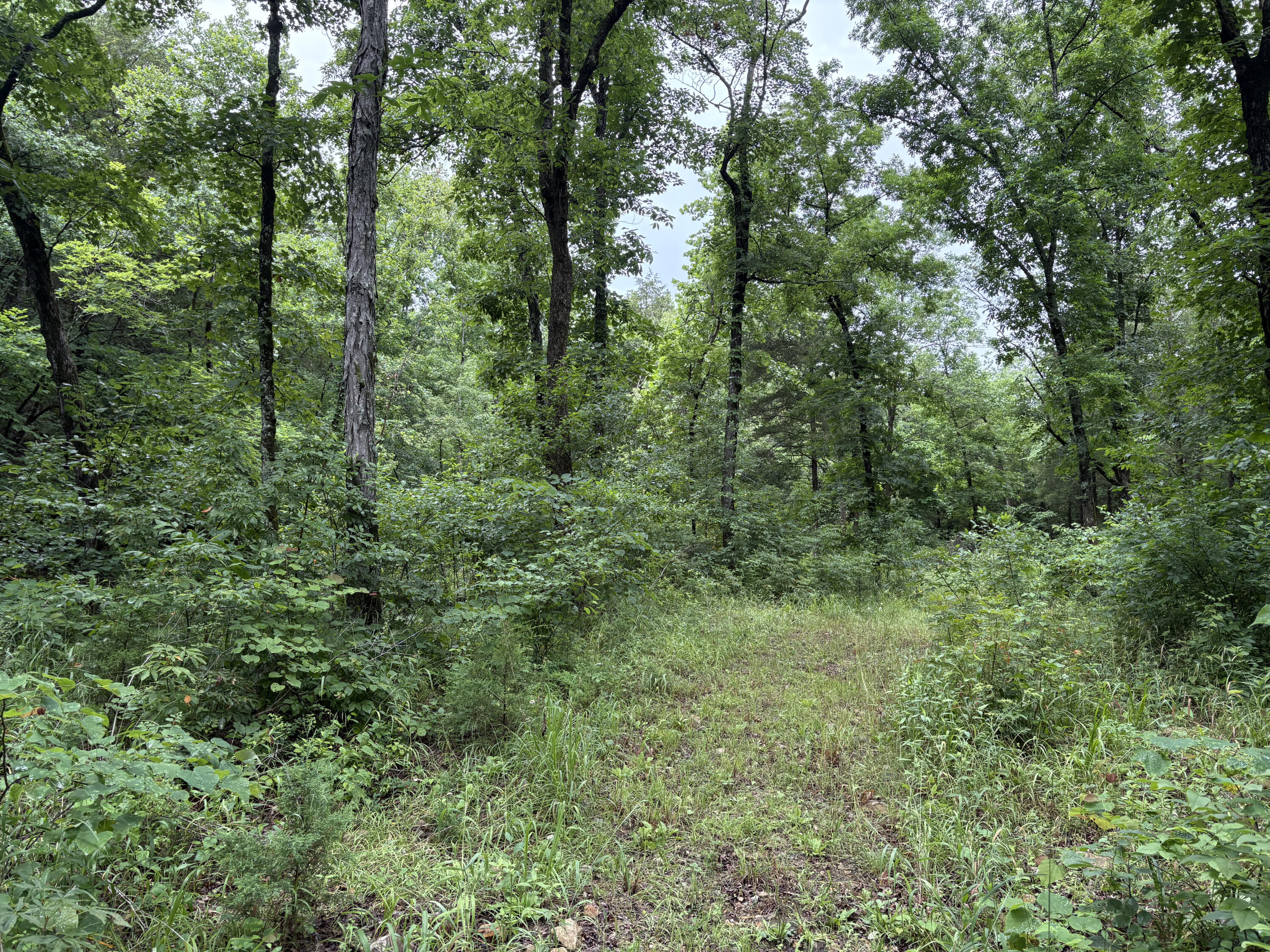 421 North Emory Creek Road Property Photo 38