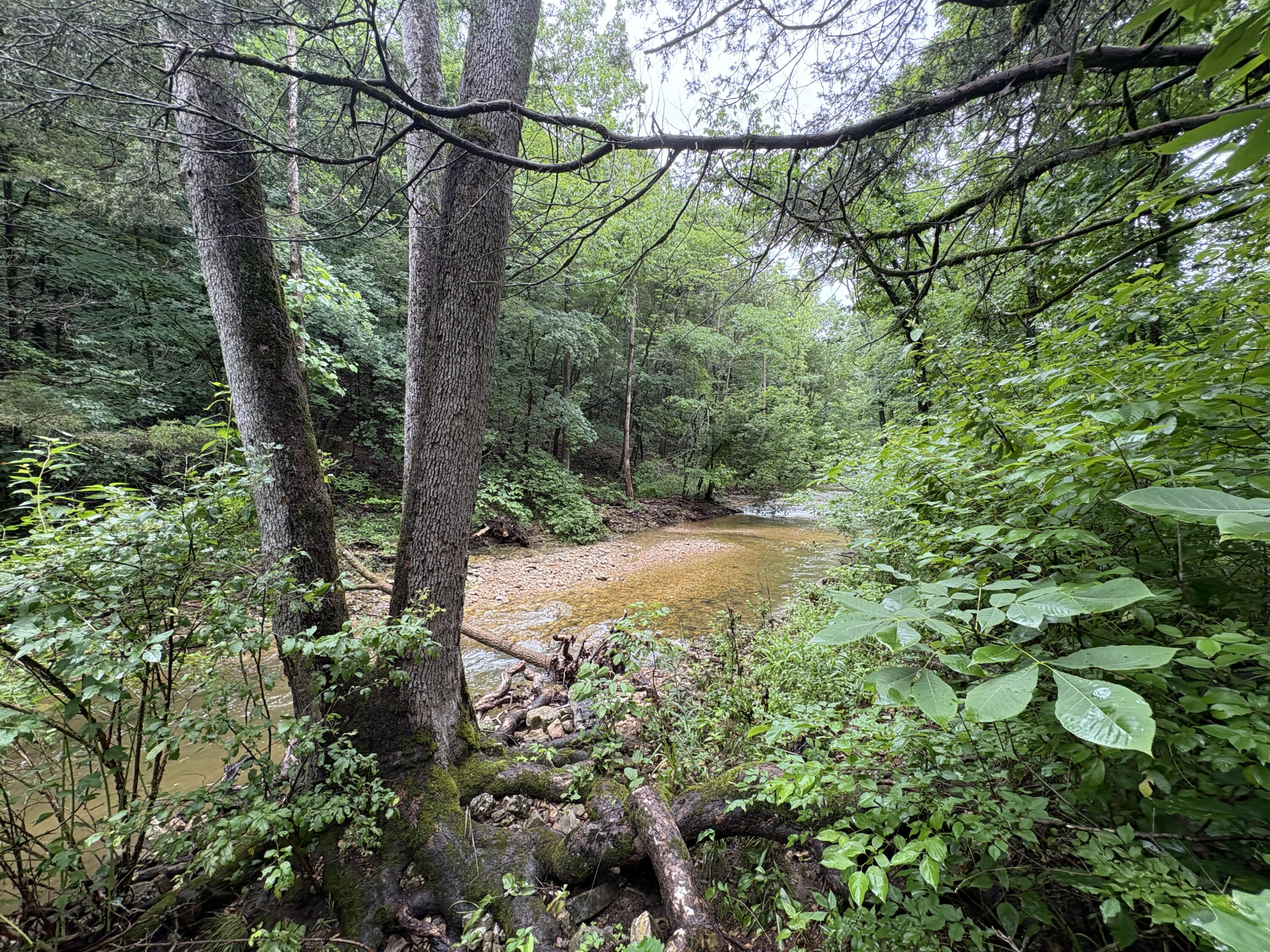 421 North Emory Creek Road Property Photo 39