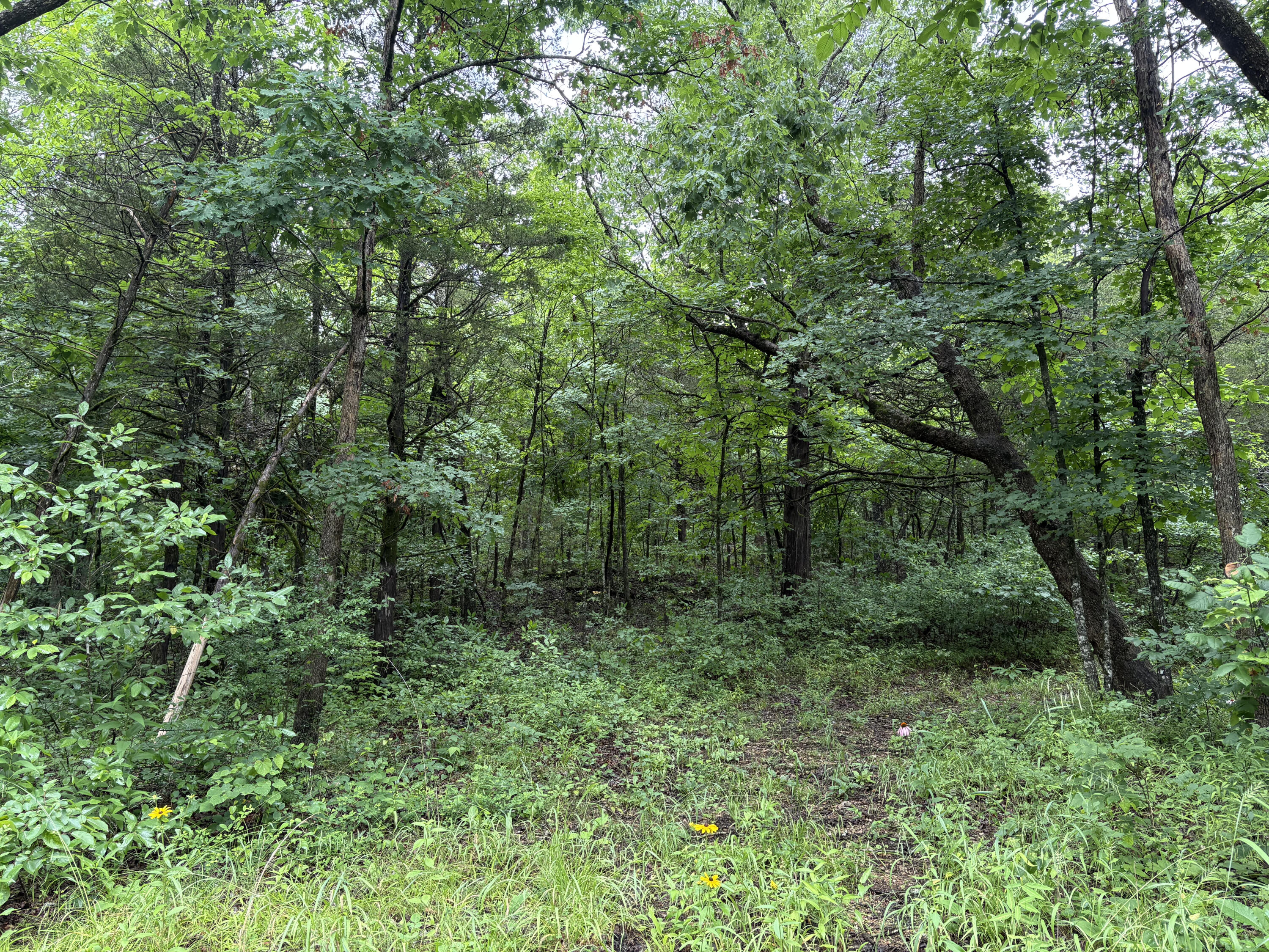 421 North Emory Creek Road Property Photo 40