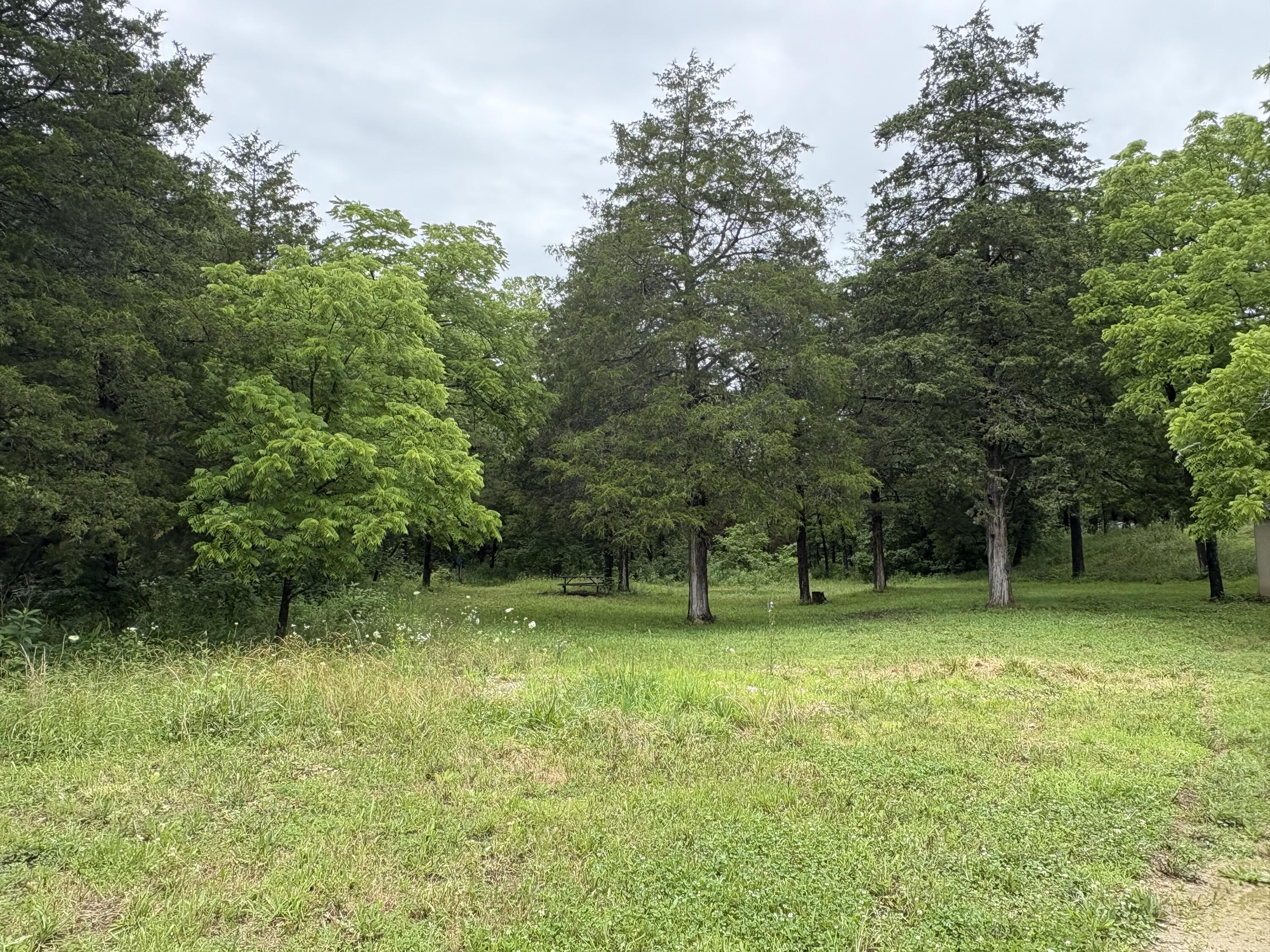 421 North Emory Creek Road Property Photo 42