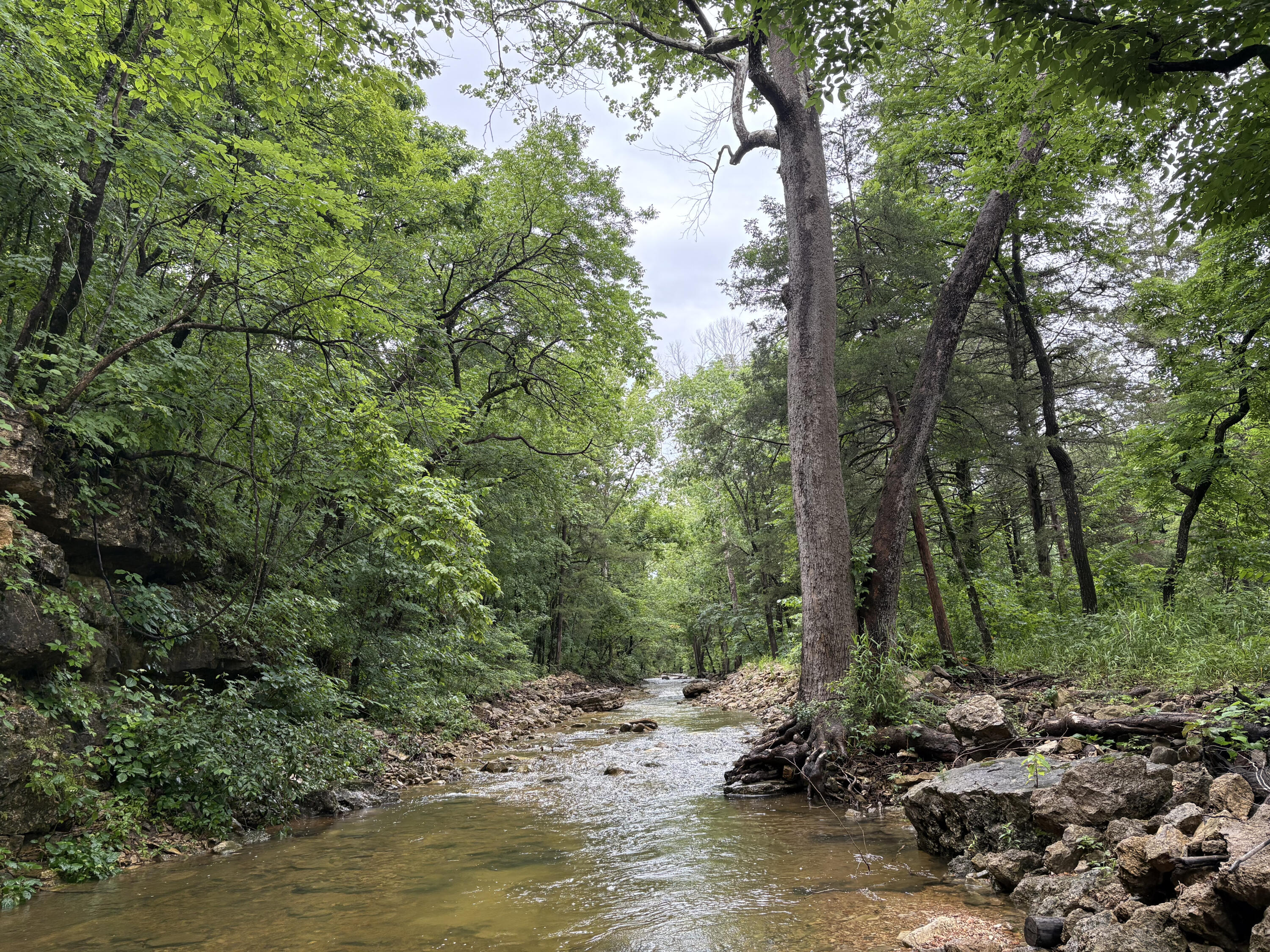 421 North Emory Creek Road Property Photo 43