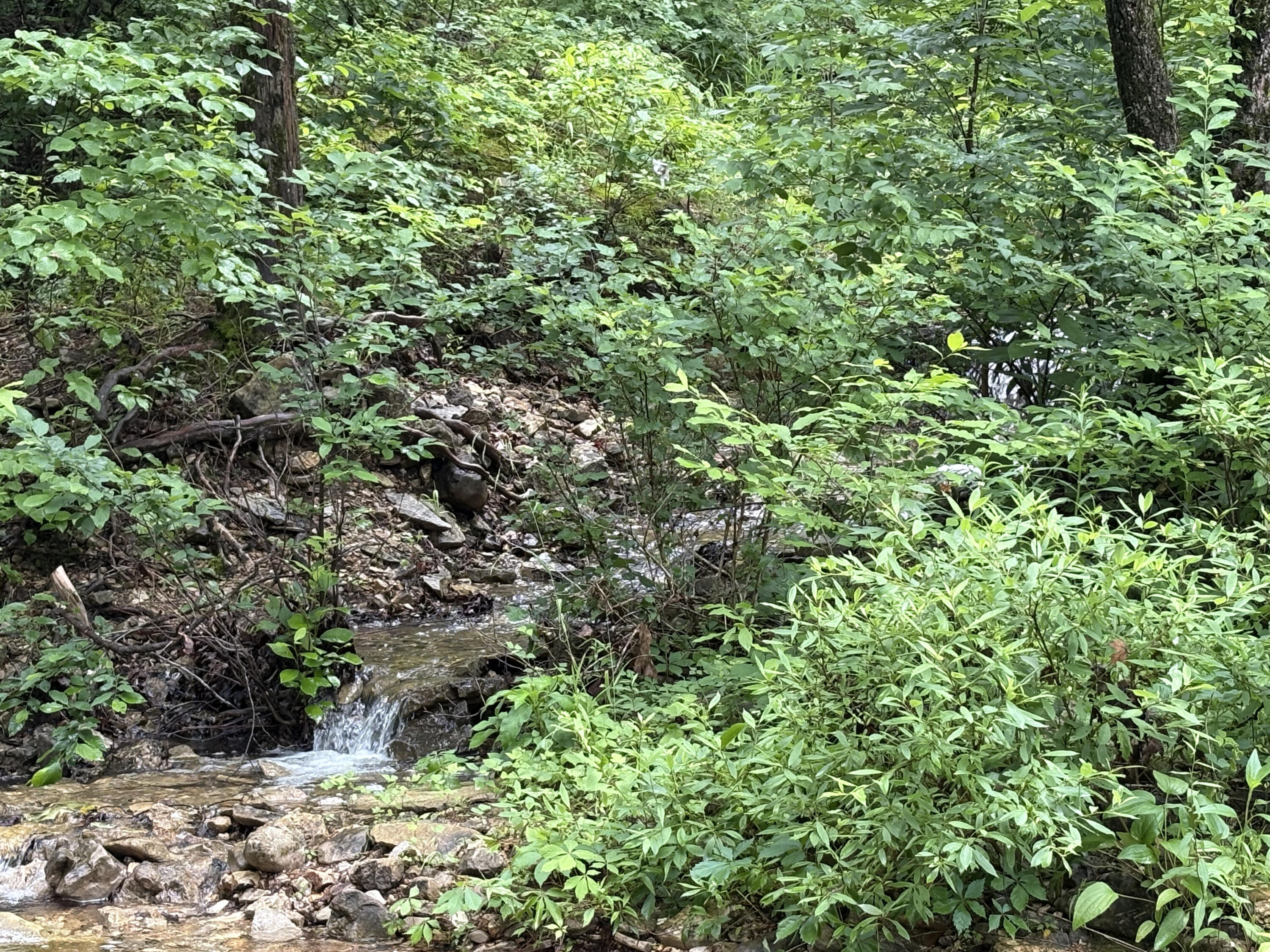 421 North Emory Creek Road Property Photo 44