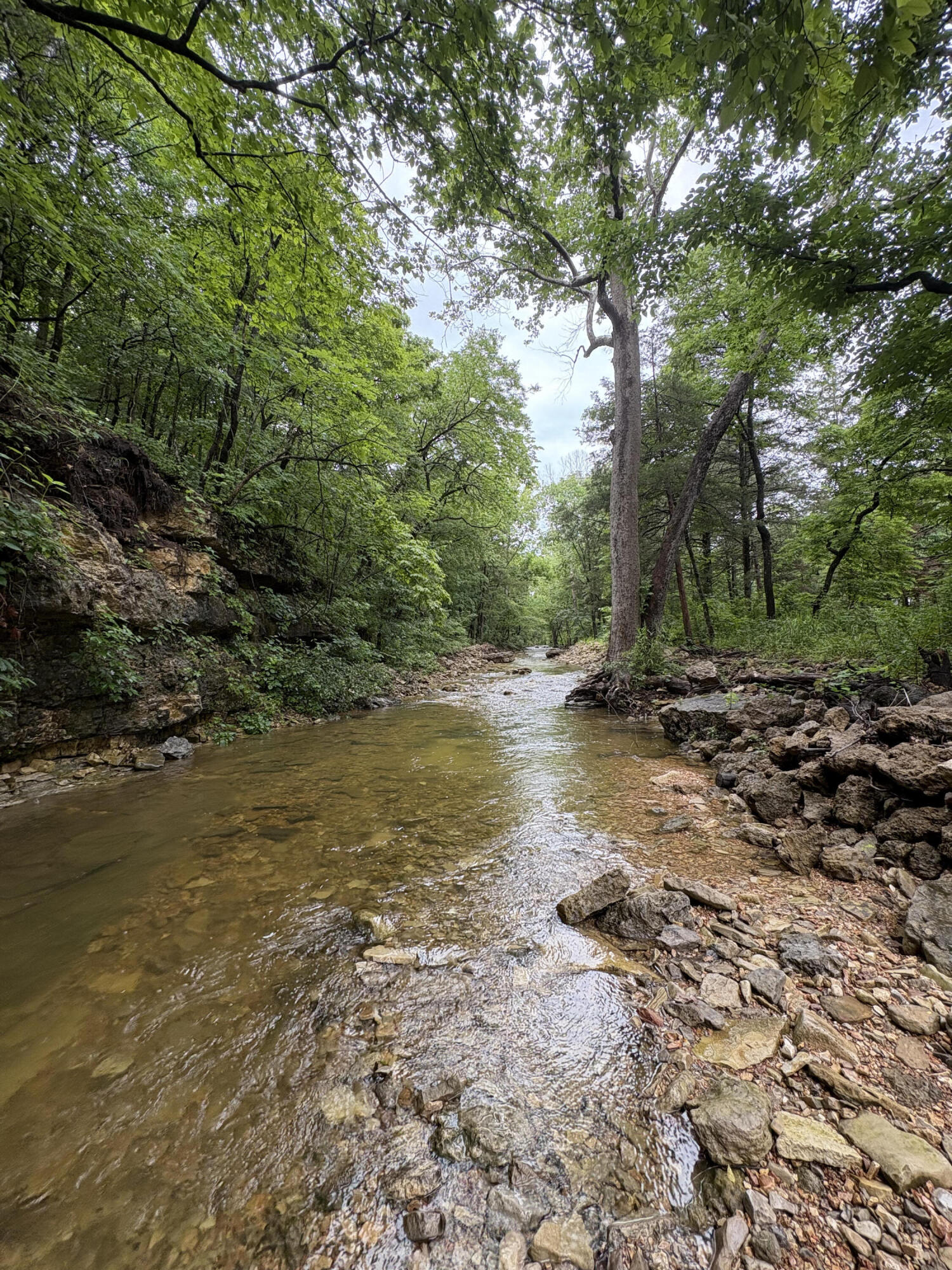421 North Emory Creek Road Property Photo 45