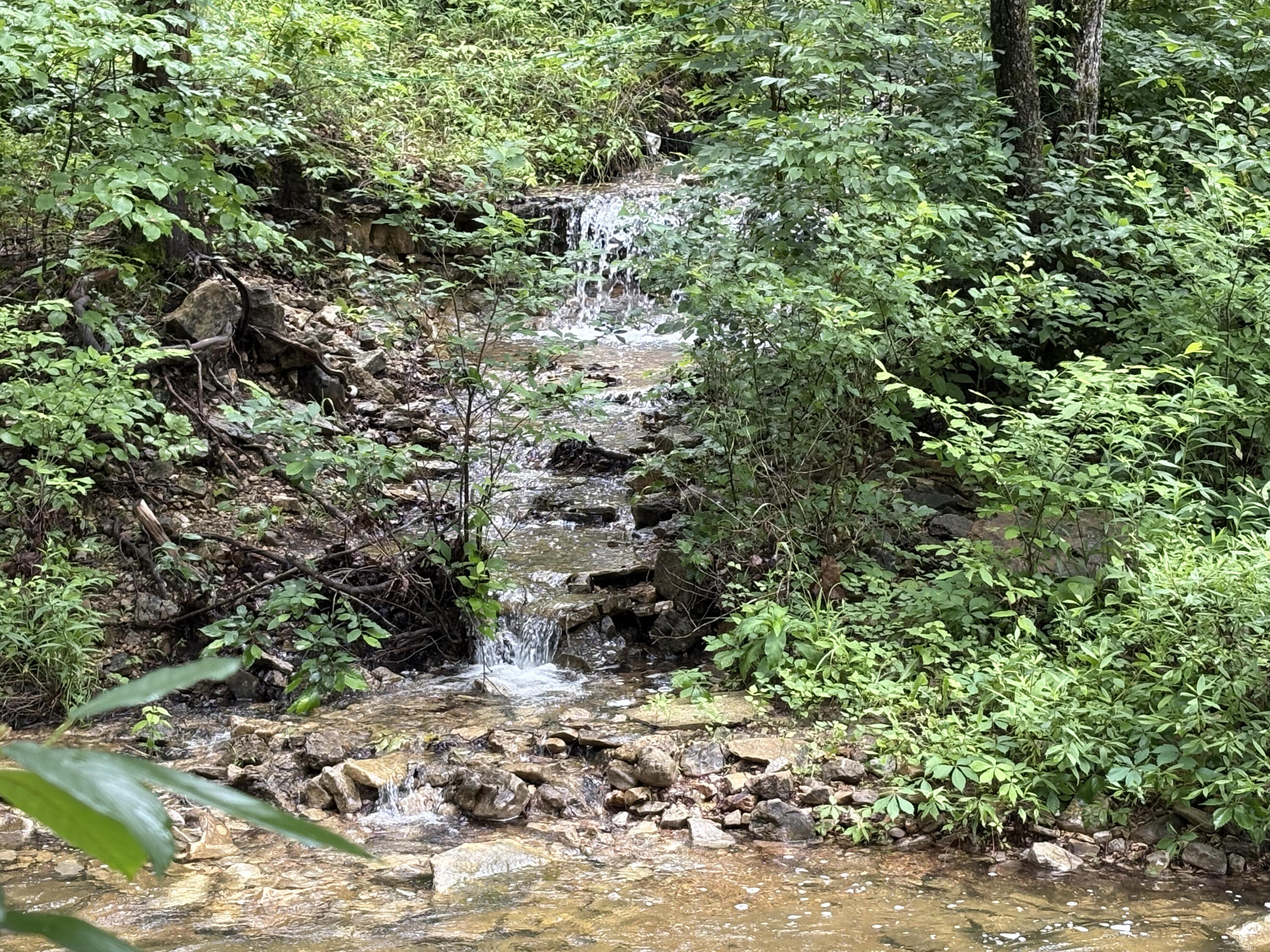 421 North Emory Creek Road Property Photo 46