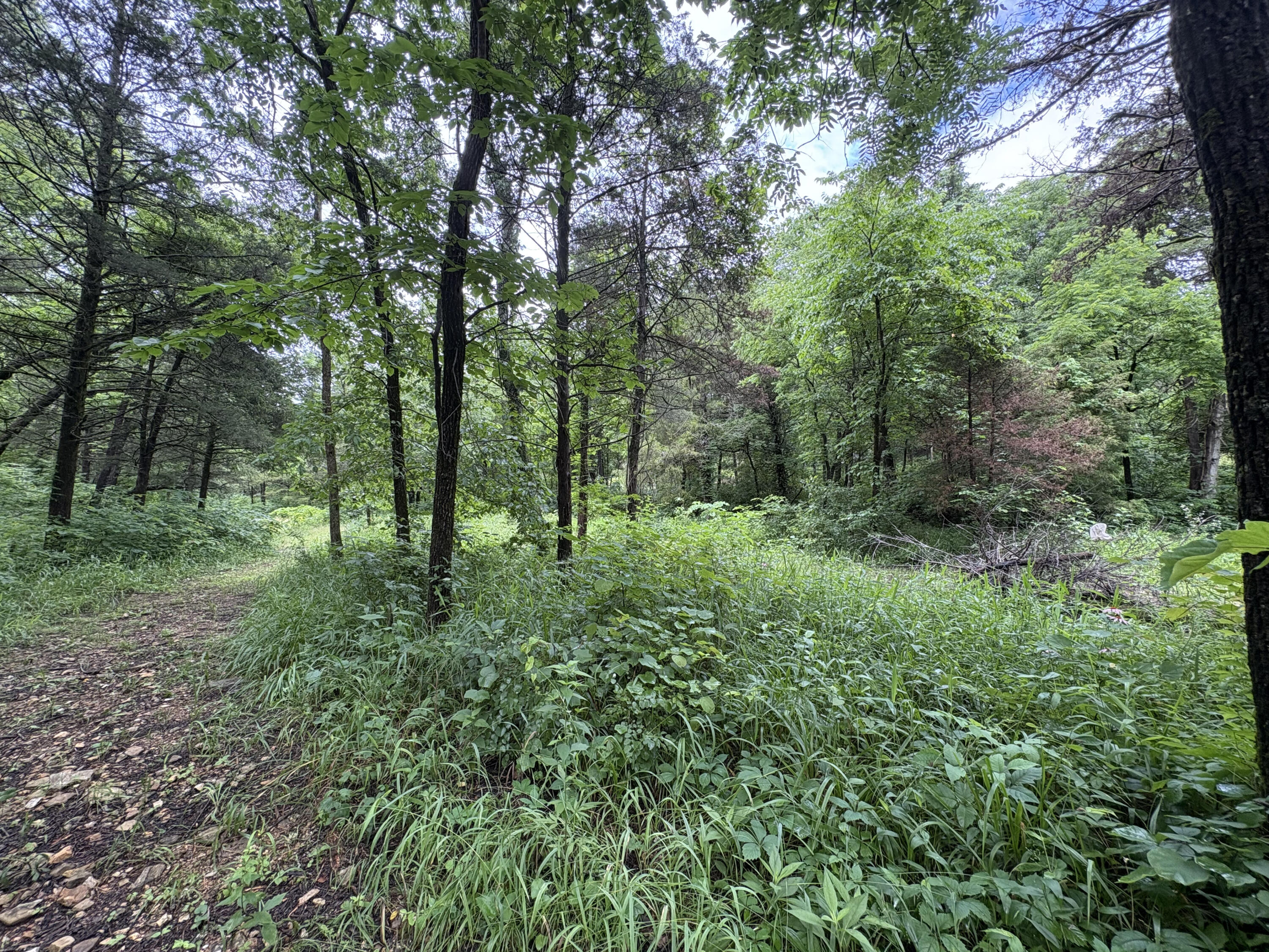 421 North Emory Creek Road Property Photo 48