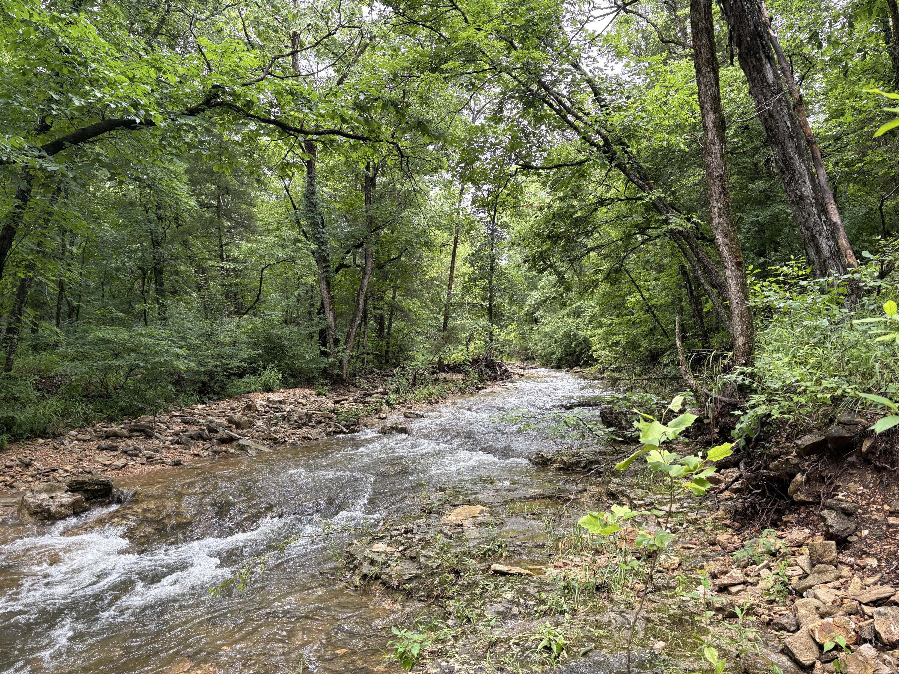 421 North Emory Creek Road Property Photo 50