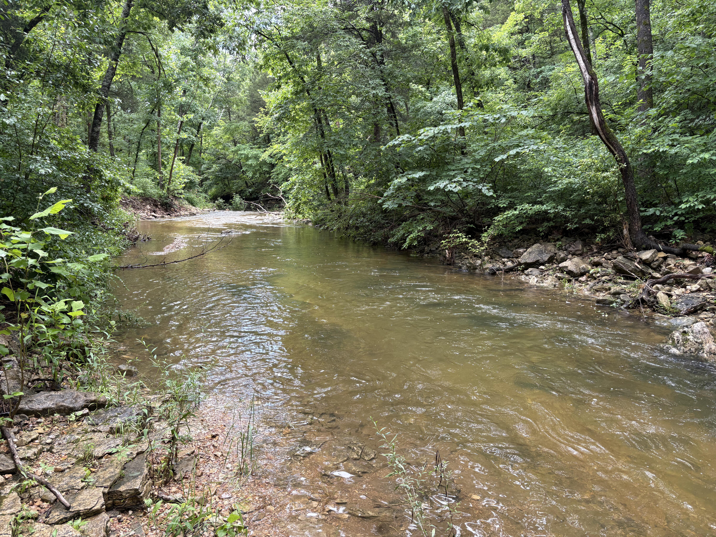 421 North Emory Creek Road Property Photo 52