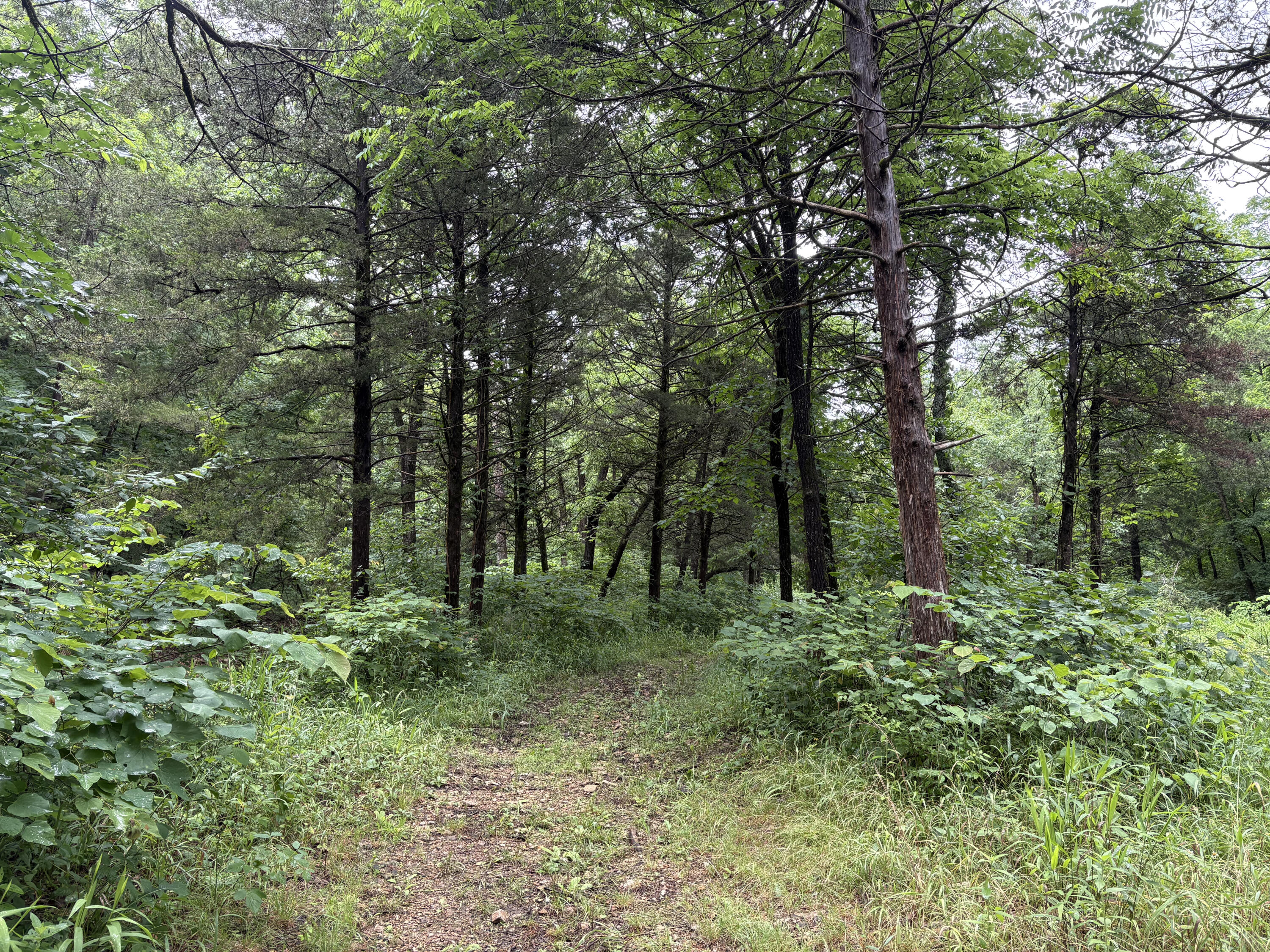 421 North Emory Creek Road Property Photo 55