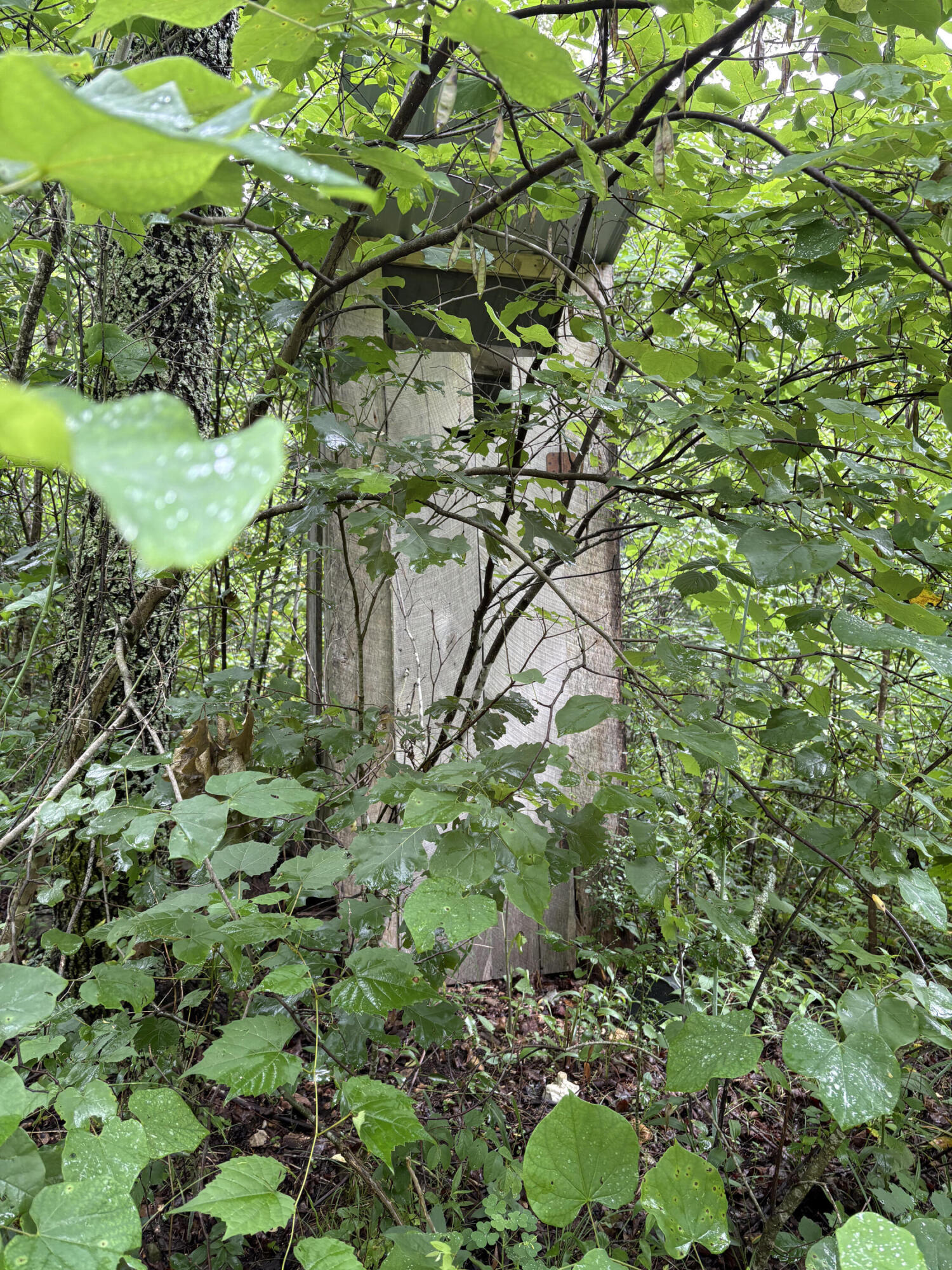 421 North Emory Creek Road Property Photo 56