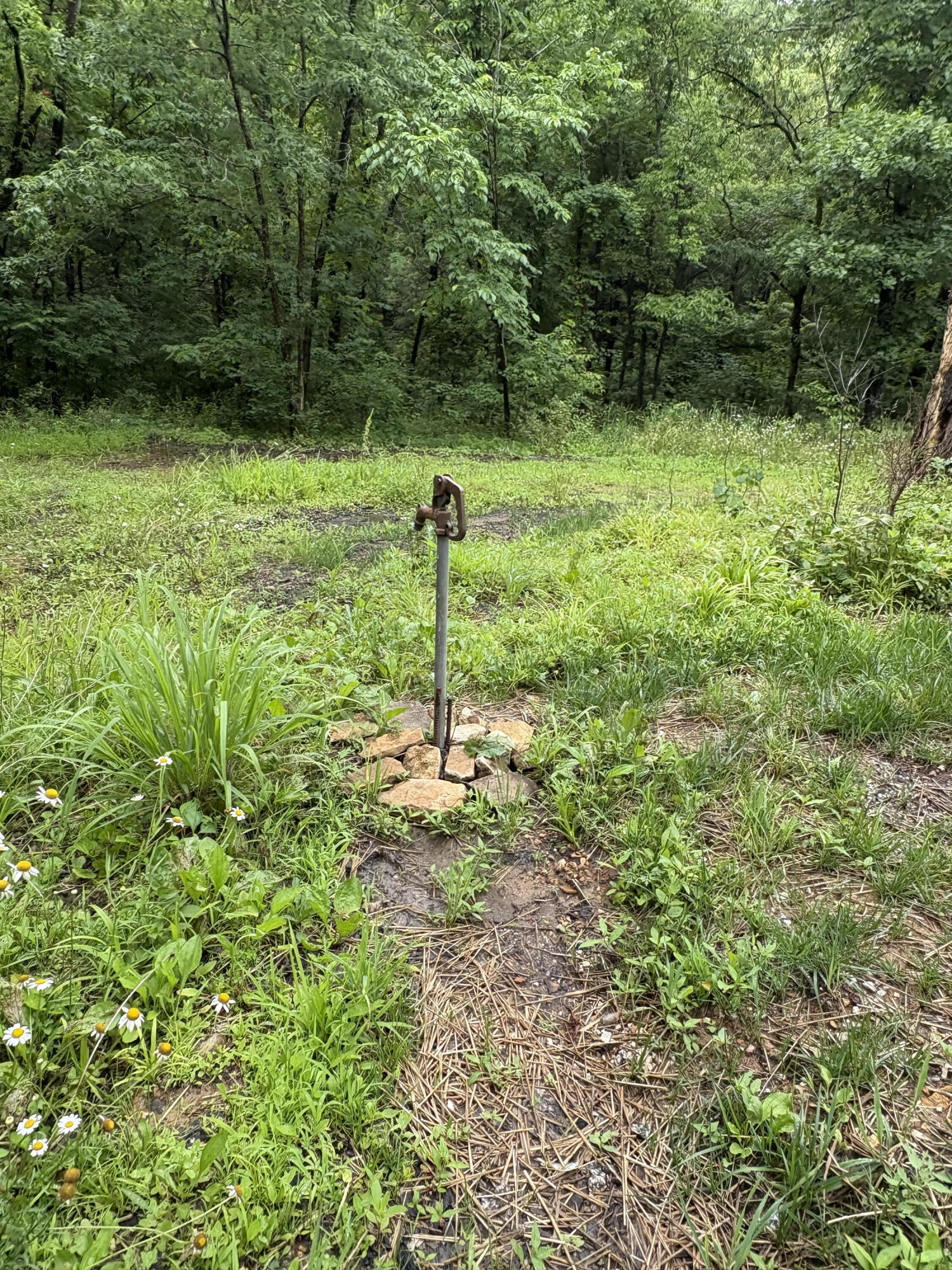 421 North Emory Creek Road Property Photo 69