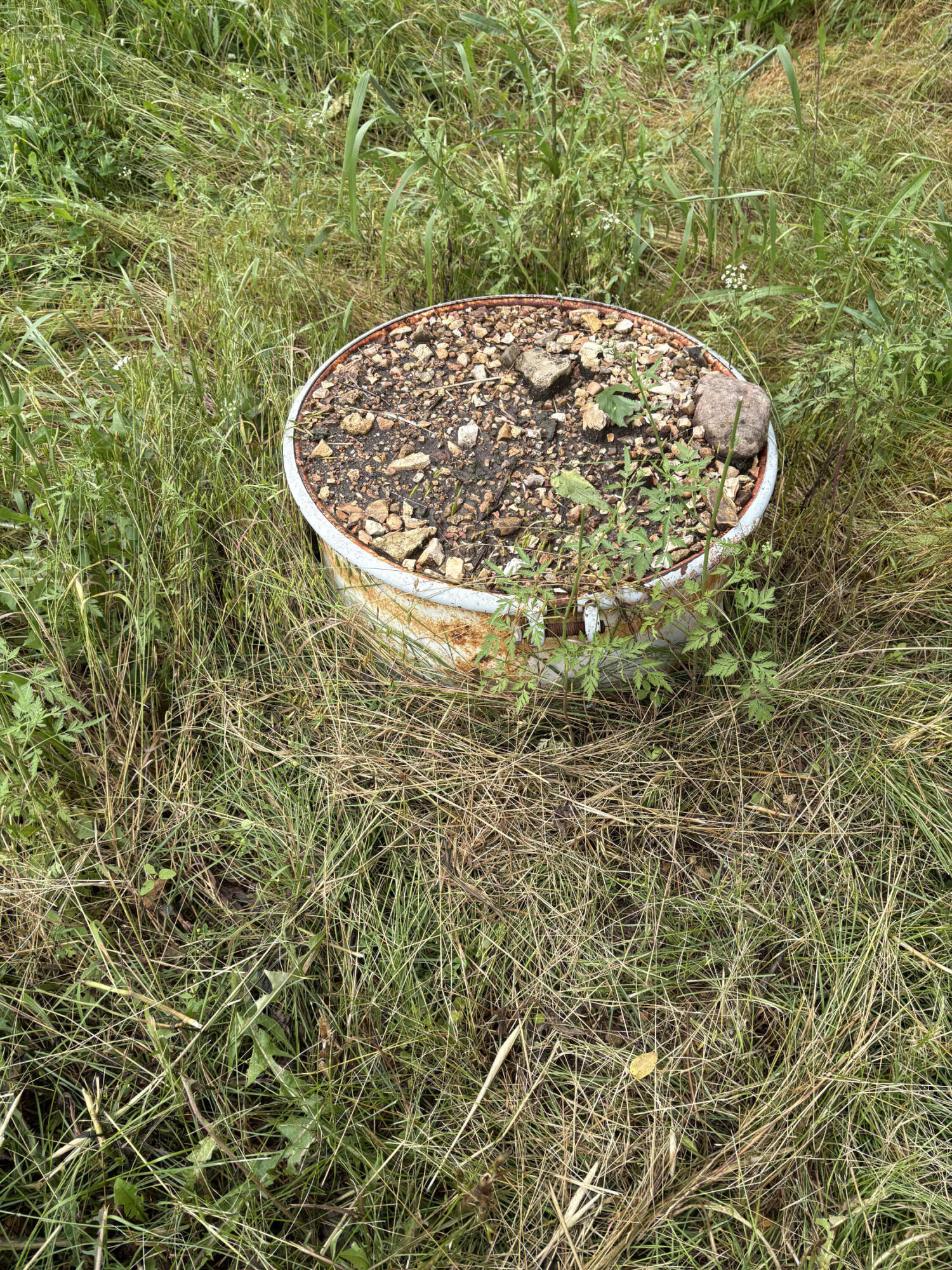 421 North Emory Creek Road Property Photo 70