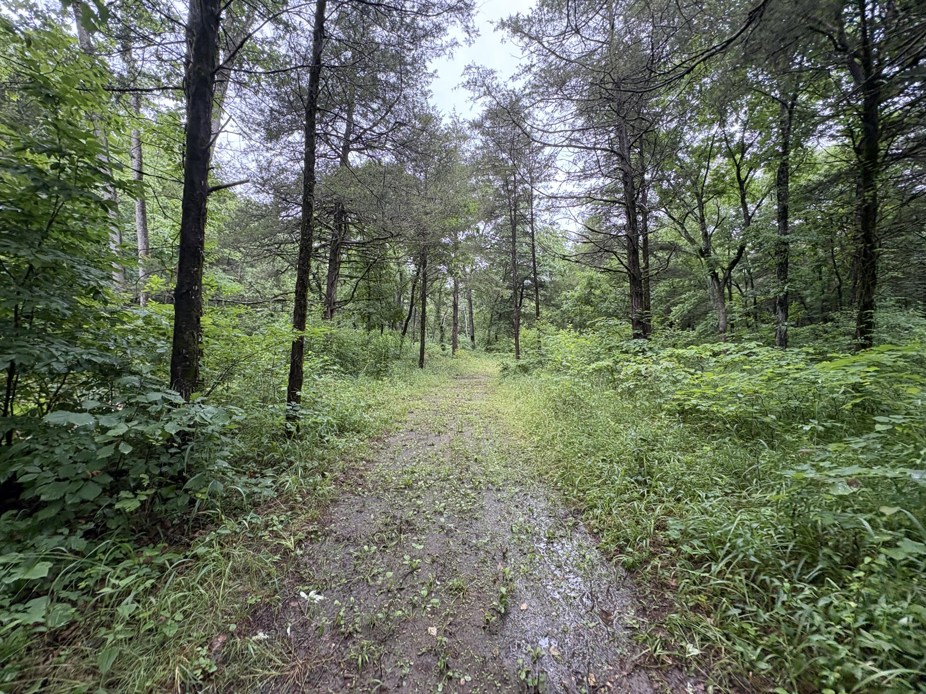 421 North Emory Creek Road Property Photo 72