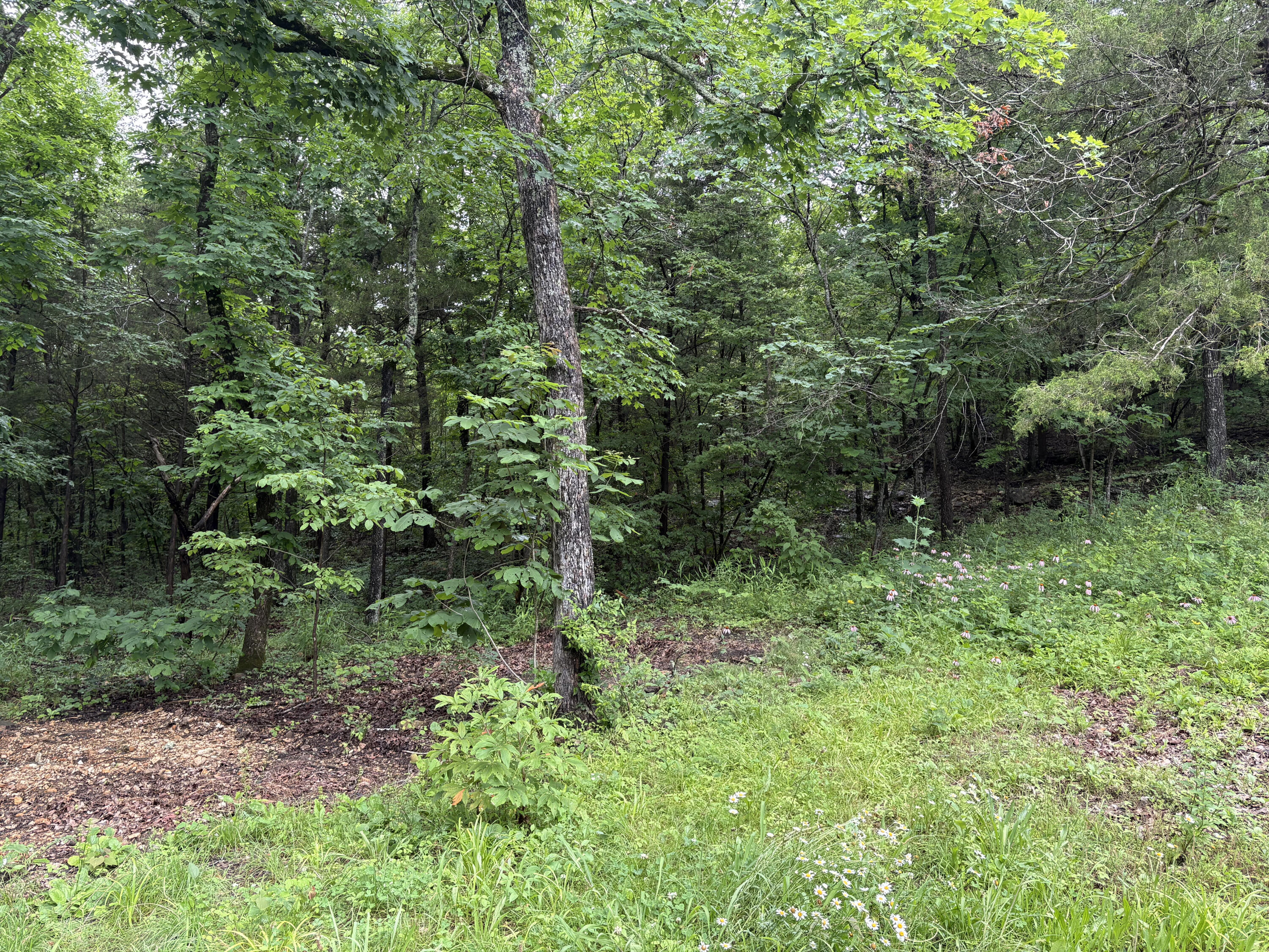 421 North Emory Creek Road Property Photo 73