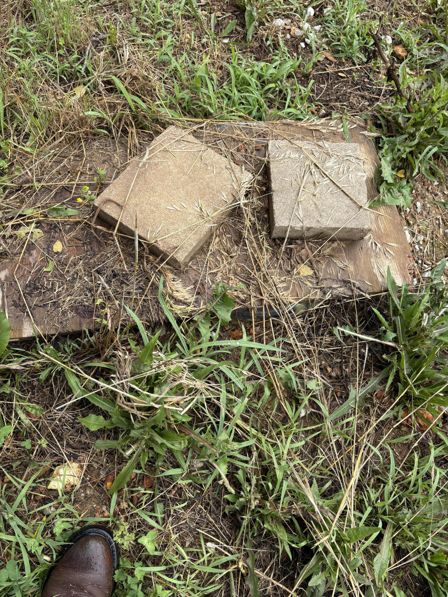 421 North Emory Creek Road Property Photo 74