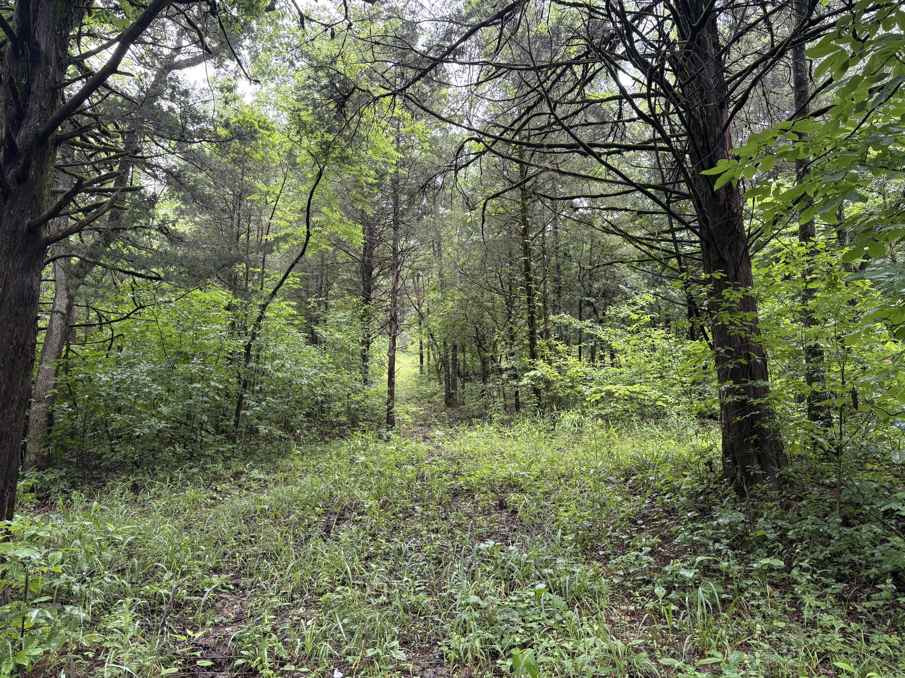 421 North Emory Creek Road Property Photo 75