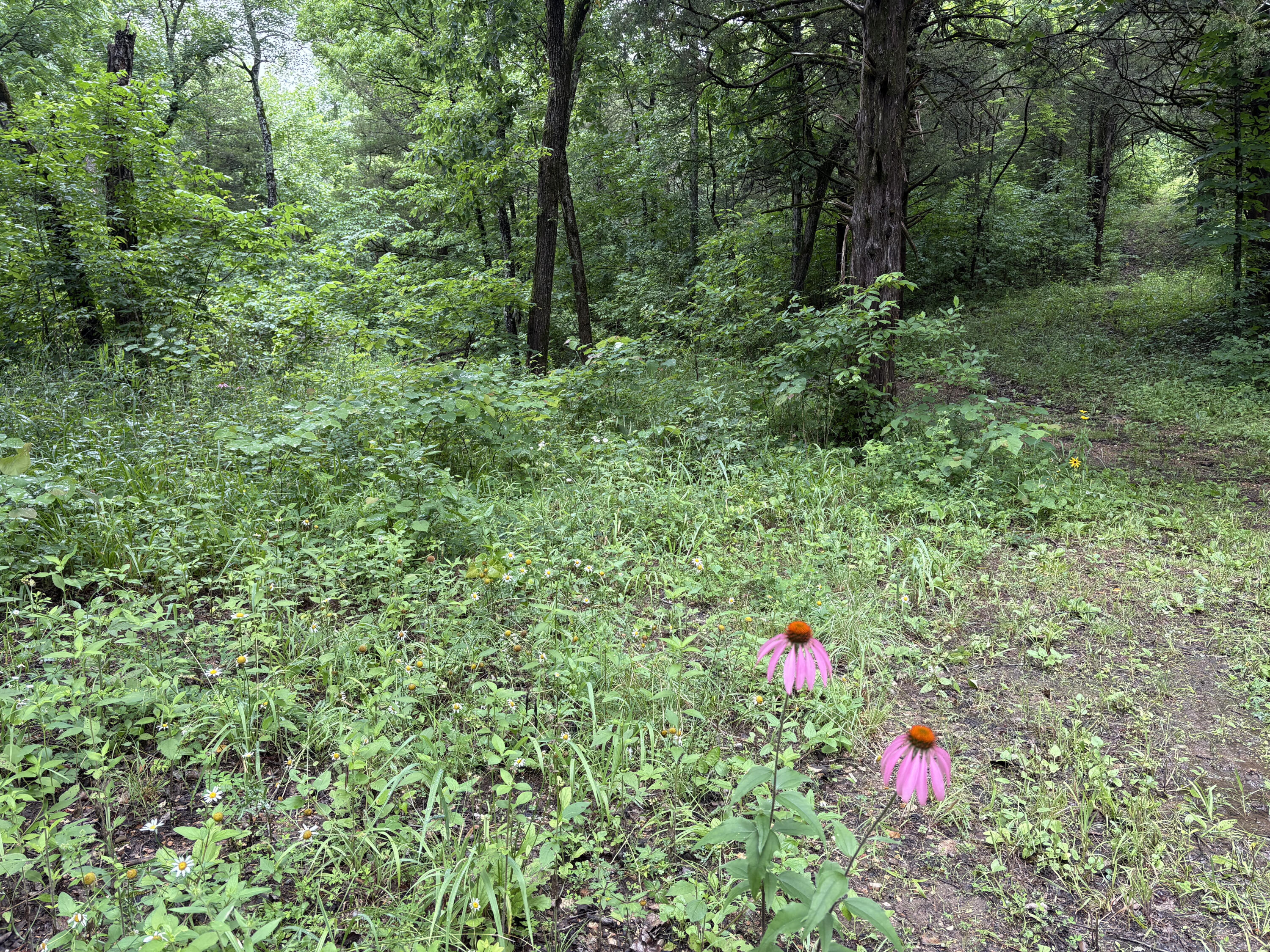 421 North Emory Creek Road Property Photo 82