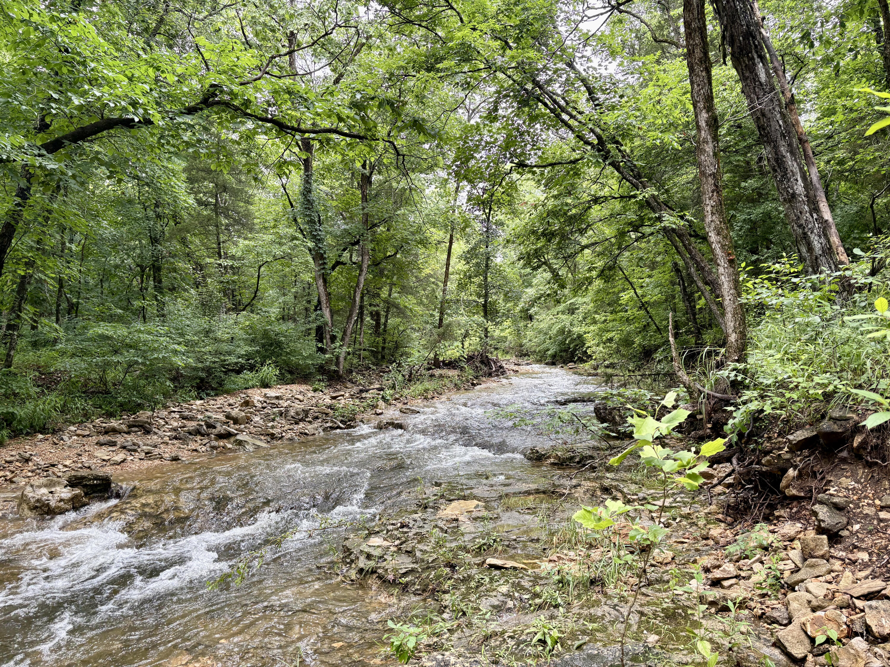 421 North Emory Creek Road Property Photo 83