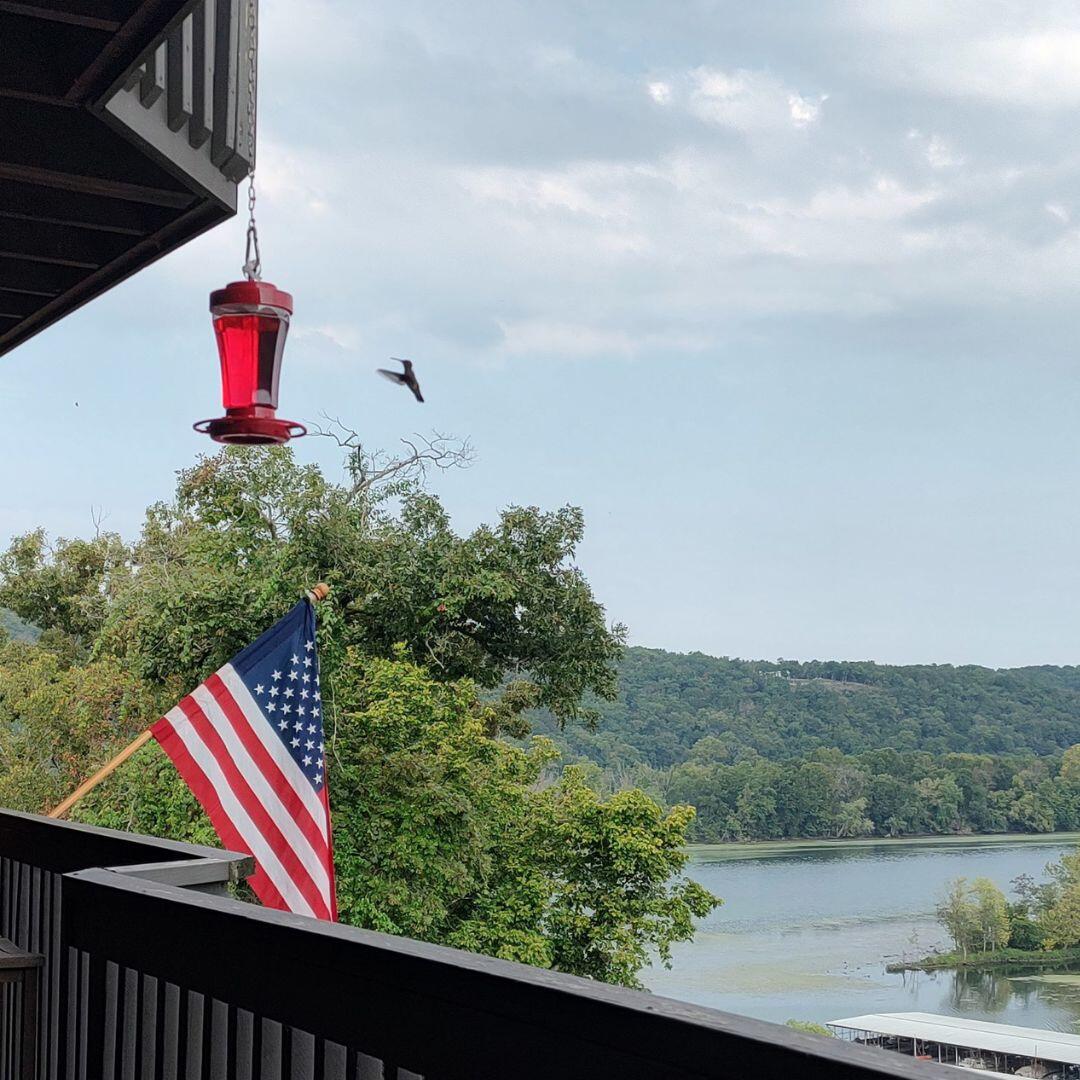 150 Sunken Forest Drive Property Photo 42