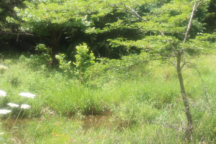 3176 South 170th Road Property Photo 3